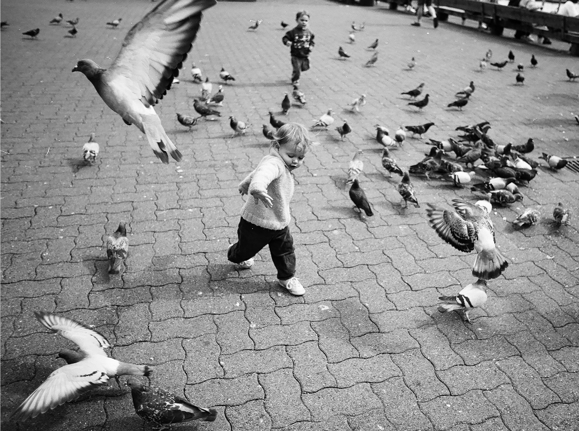 Flight -- ALEX MAGIL