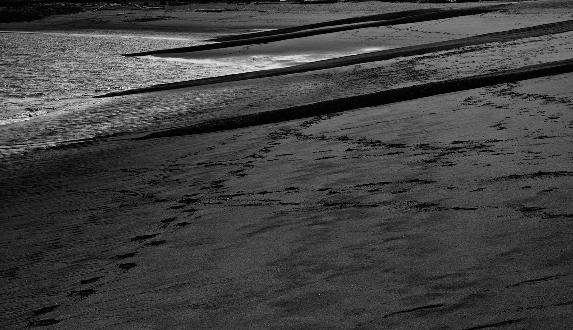 Tracks on Beach -- LYNN COPELAND