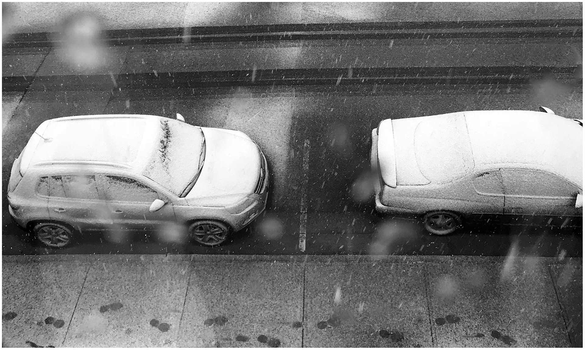 Snow Day -- DRAGO TUTNJEVIC