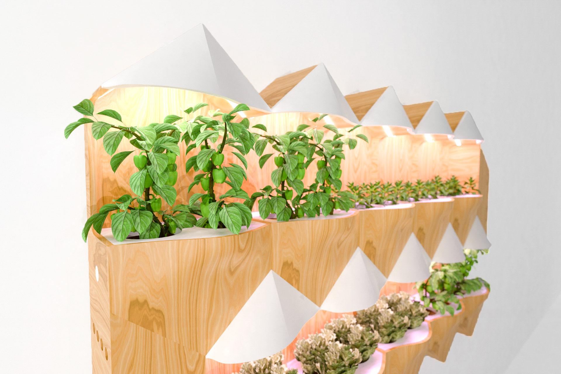 Babylon enables you to grow your own food at home with ease