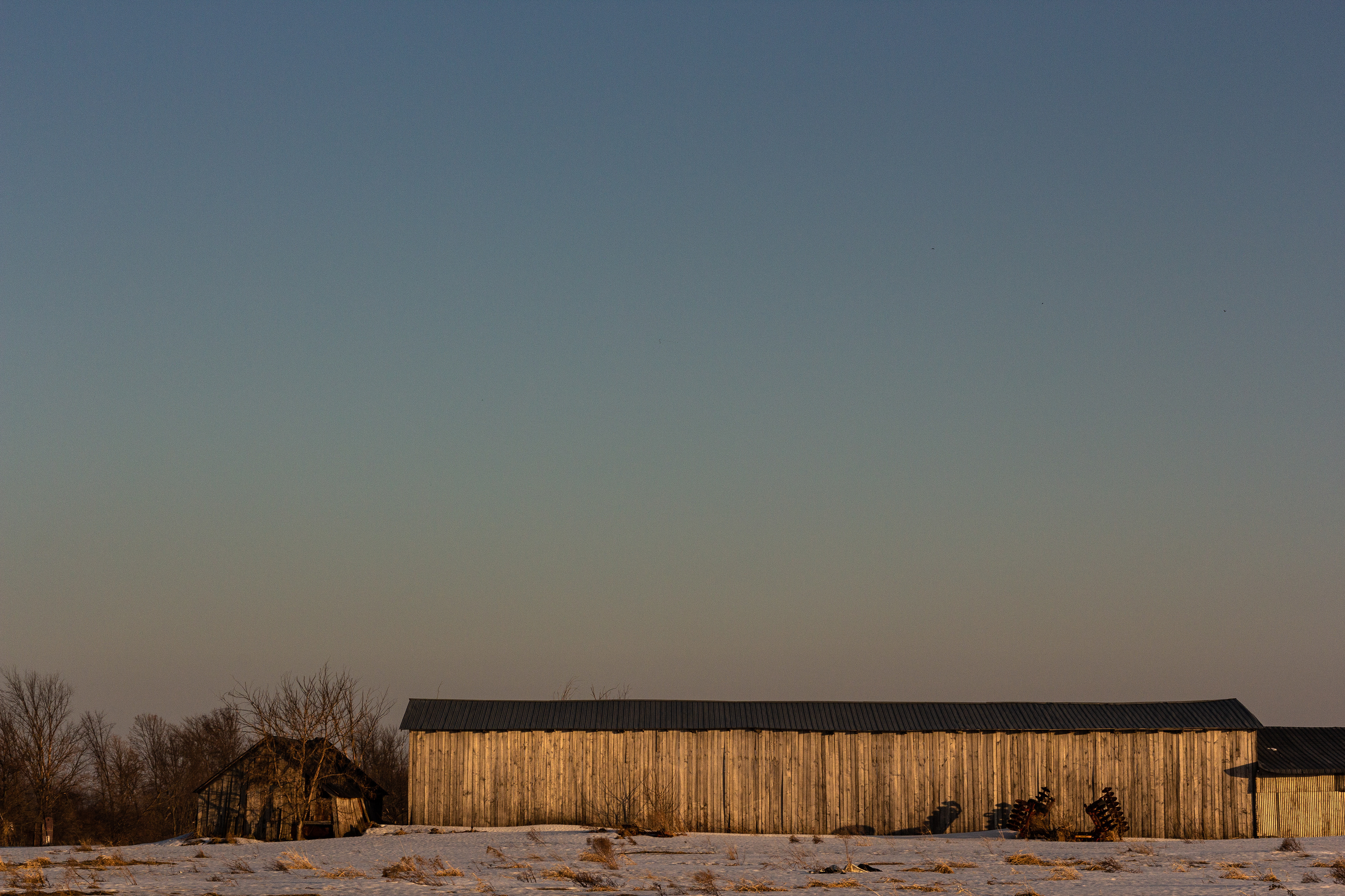 Sunset Farm Iroquois, Ontario no. 1 After a long day.