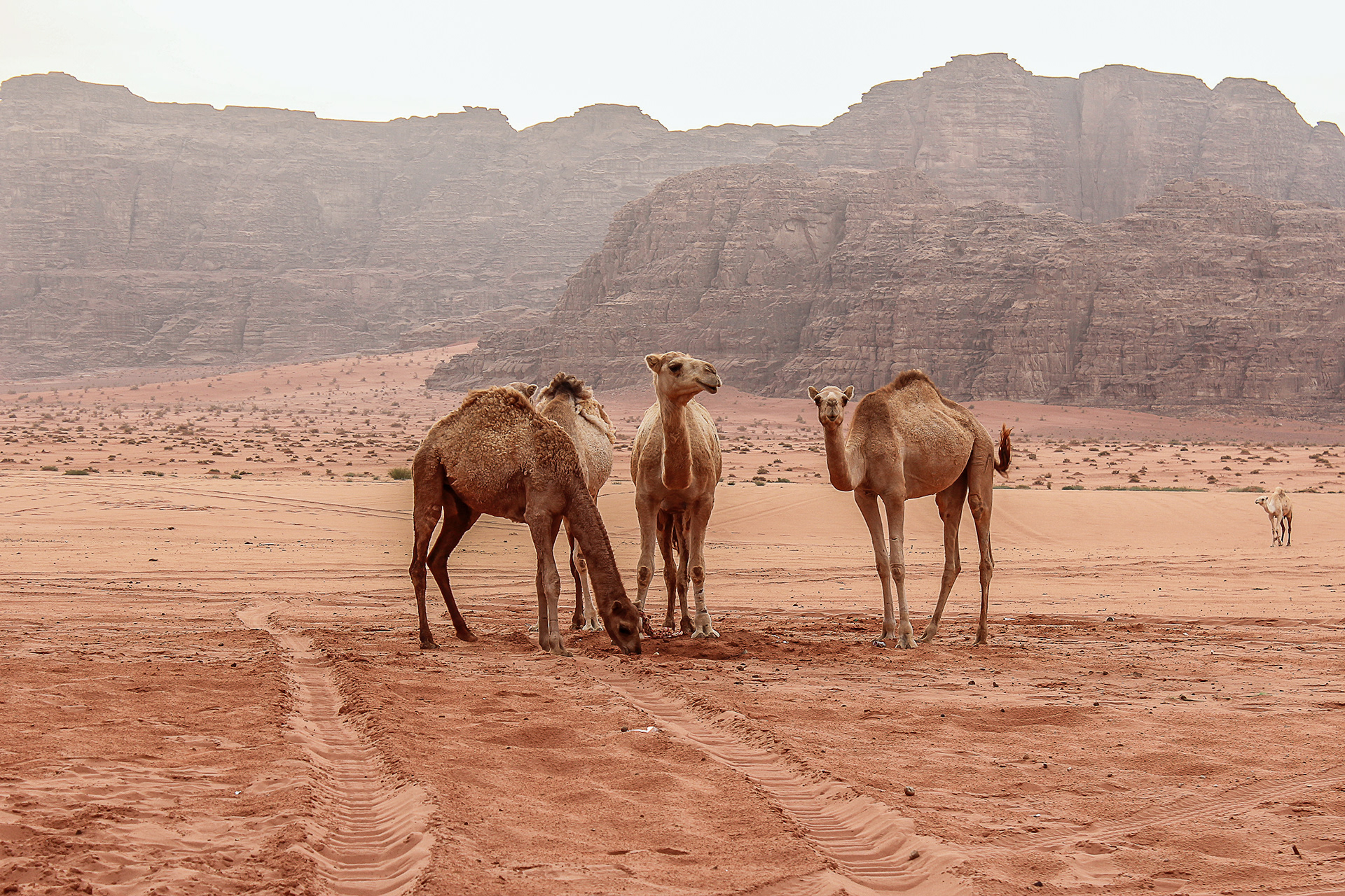 Wadi Rum, Jordan