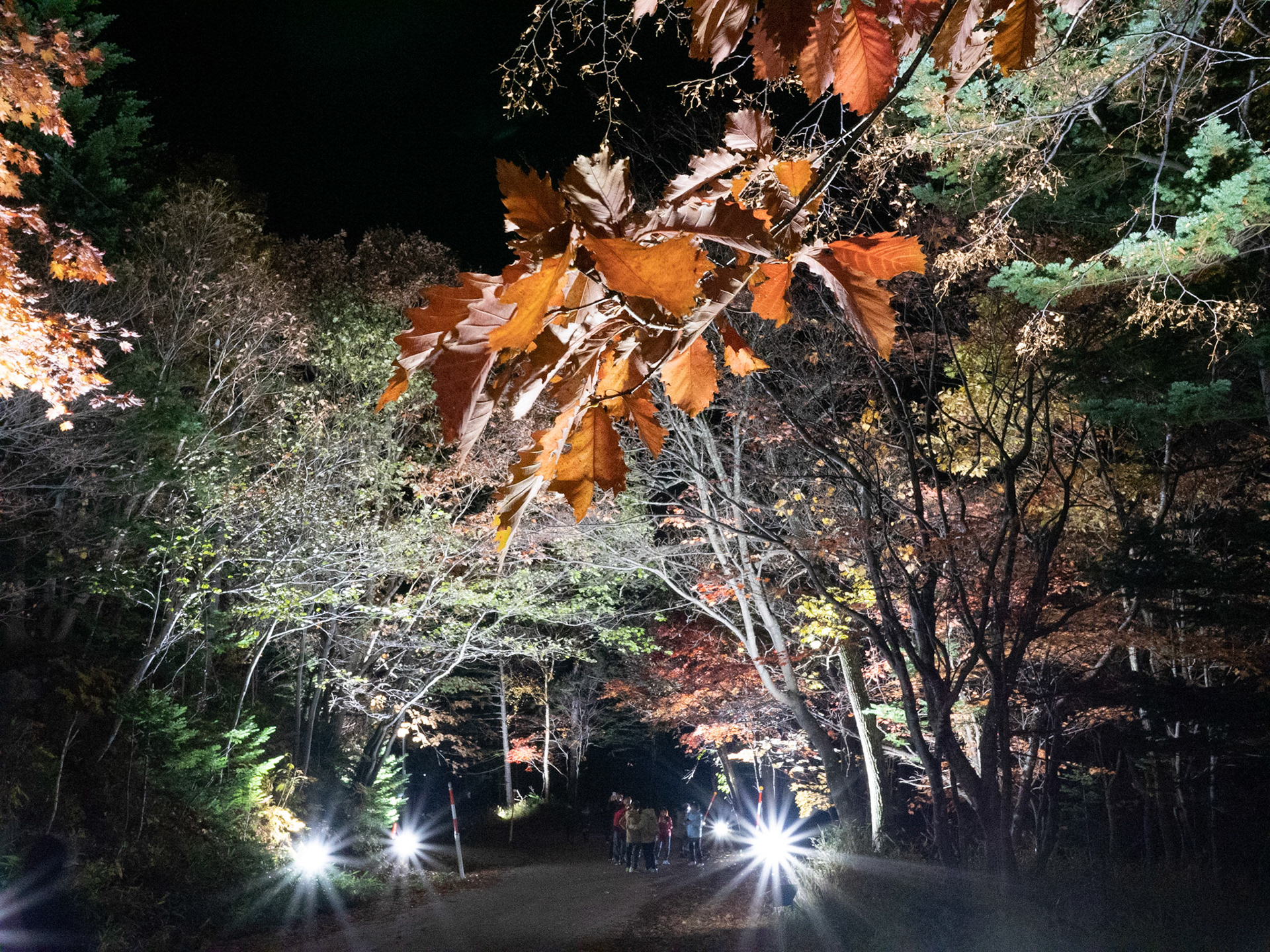 Ryotaroのポートフォリオ Portfolio 秋の景色 Ryotaroのポートフォリオ Portfolio 秋の景色