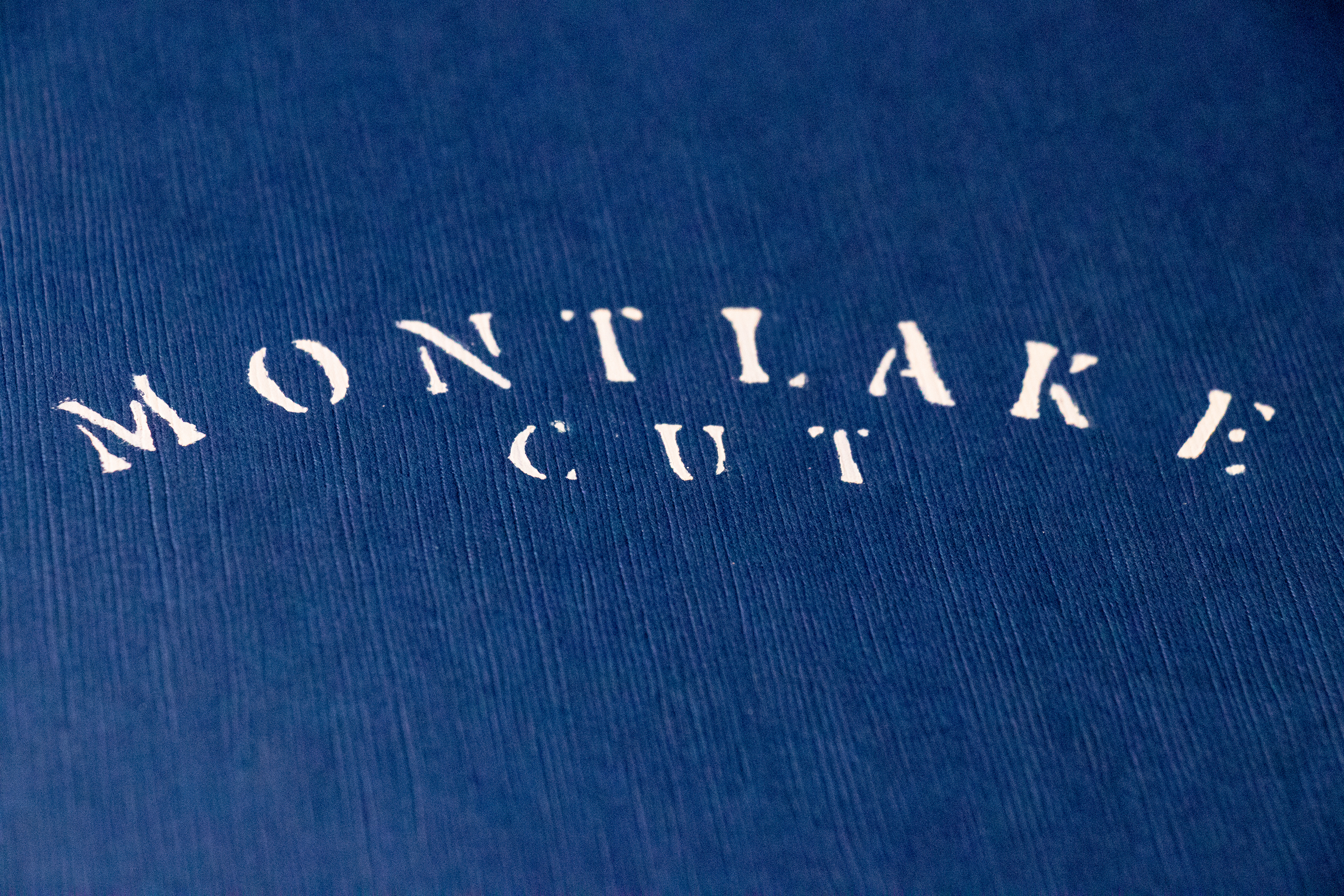 Hand-Painted Logo