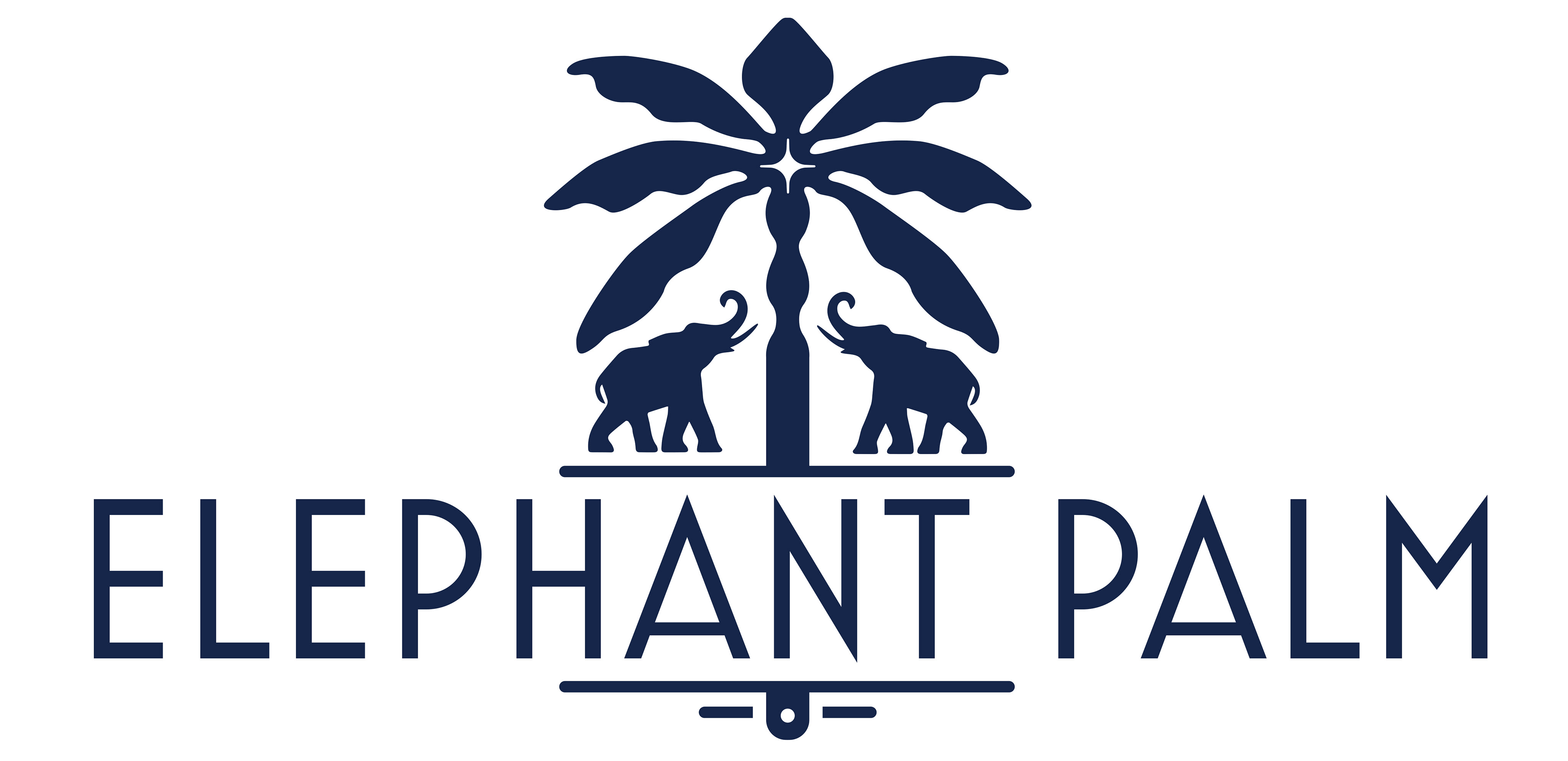 Elephant Palm