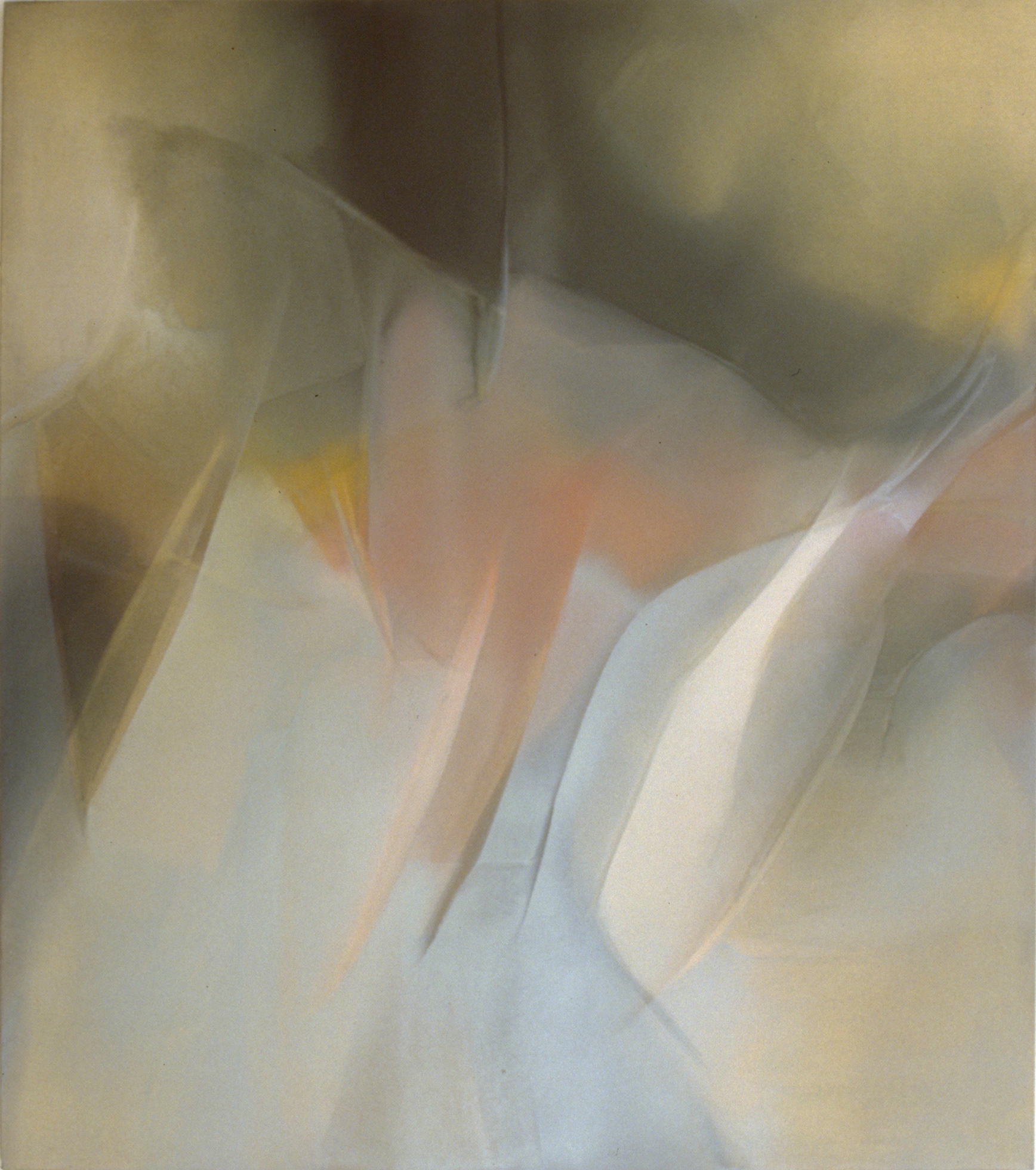 1992 - Huile/toile - 195x170cm/76,7’x66,9’