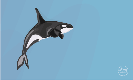 Orca