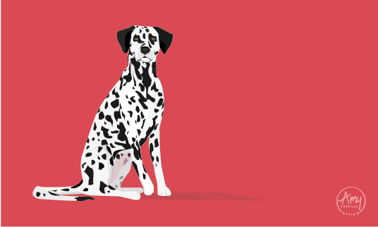 Dalmation