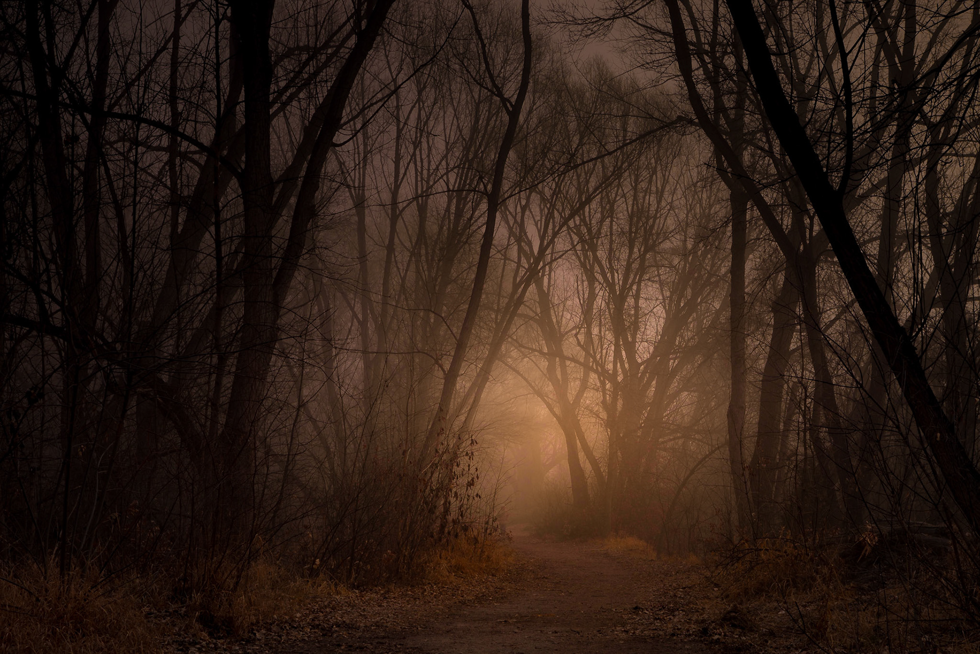 towards the light