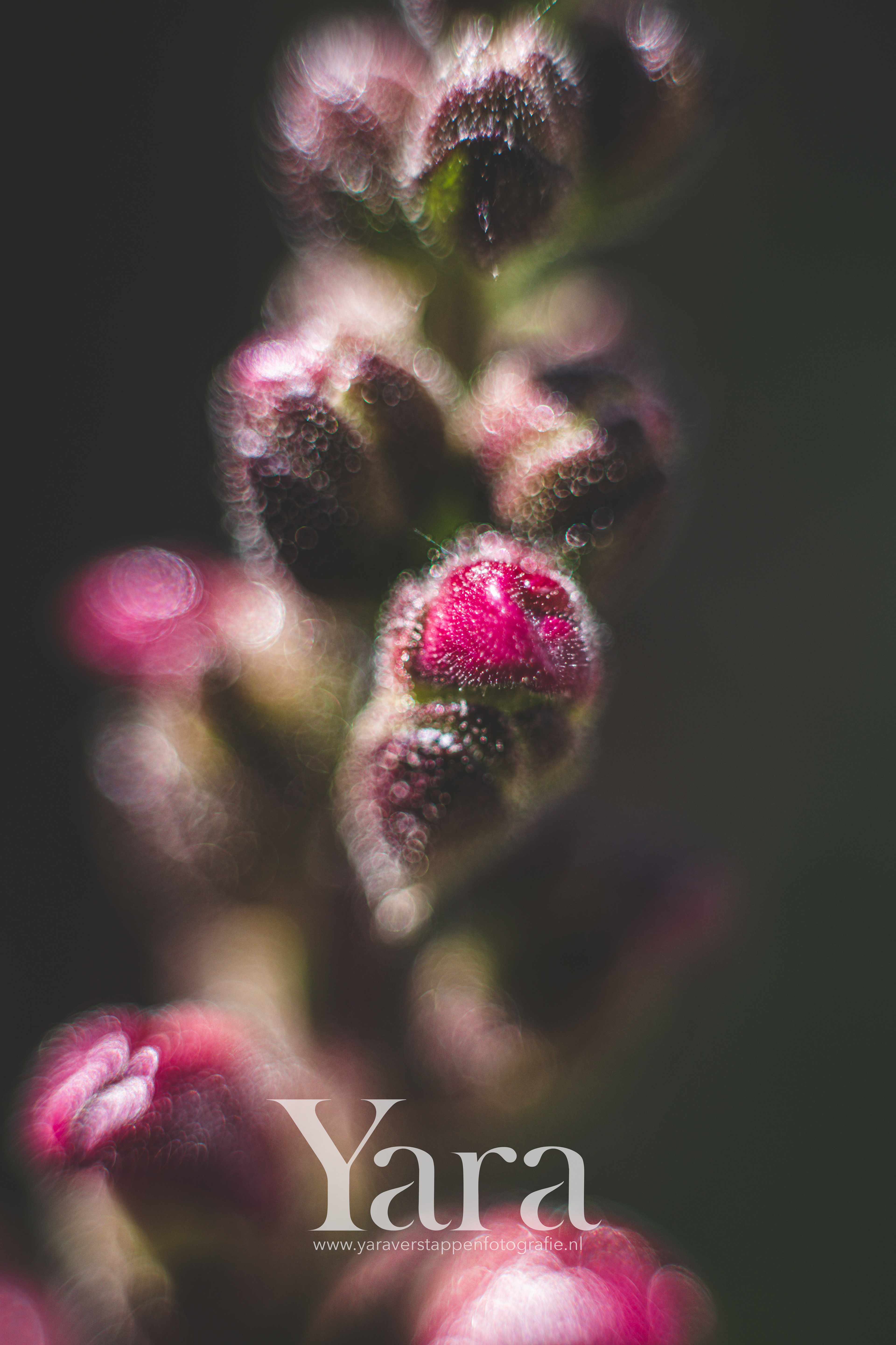 022 - Macro