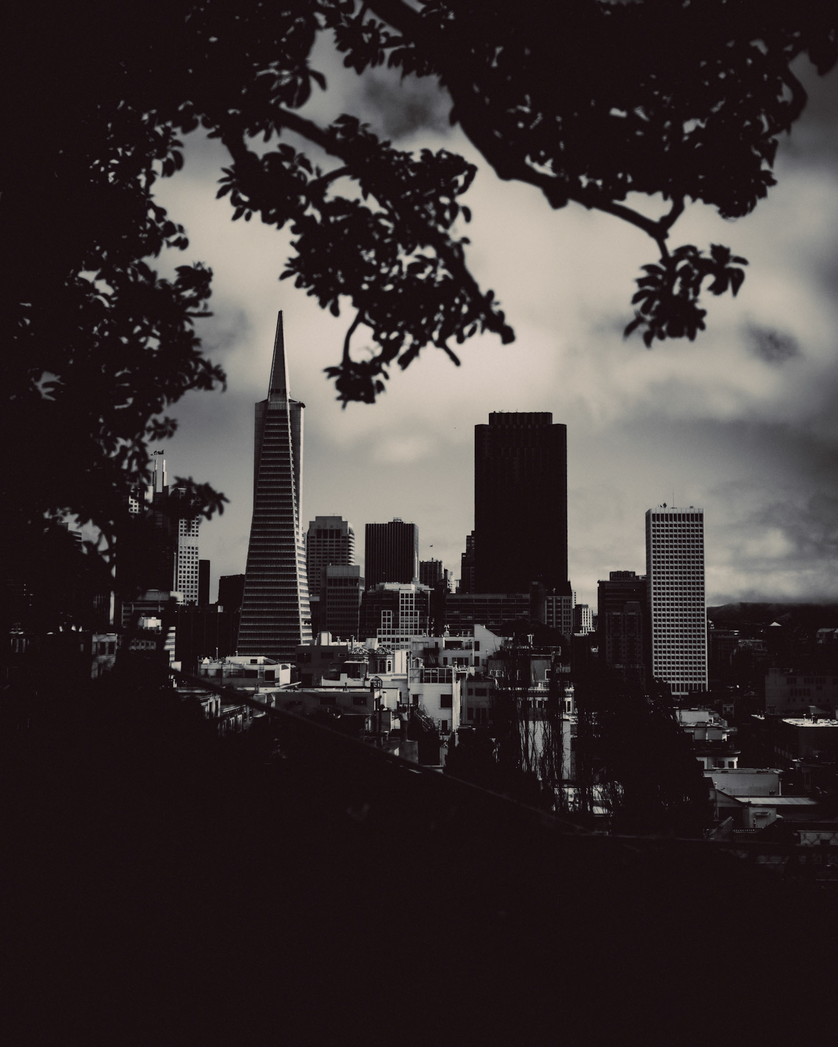 Downtown San Francisco from the Filbert Steps, San Francisco, California, USA, June 2016, Leica M.