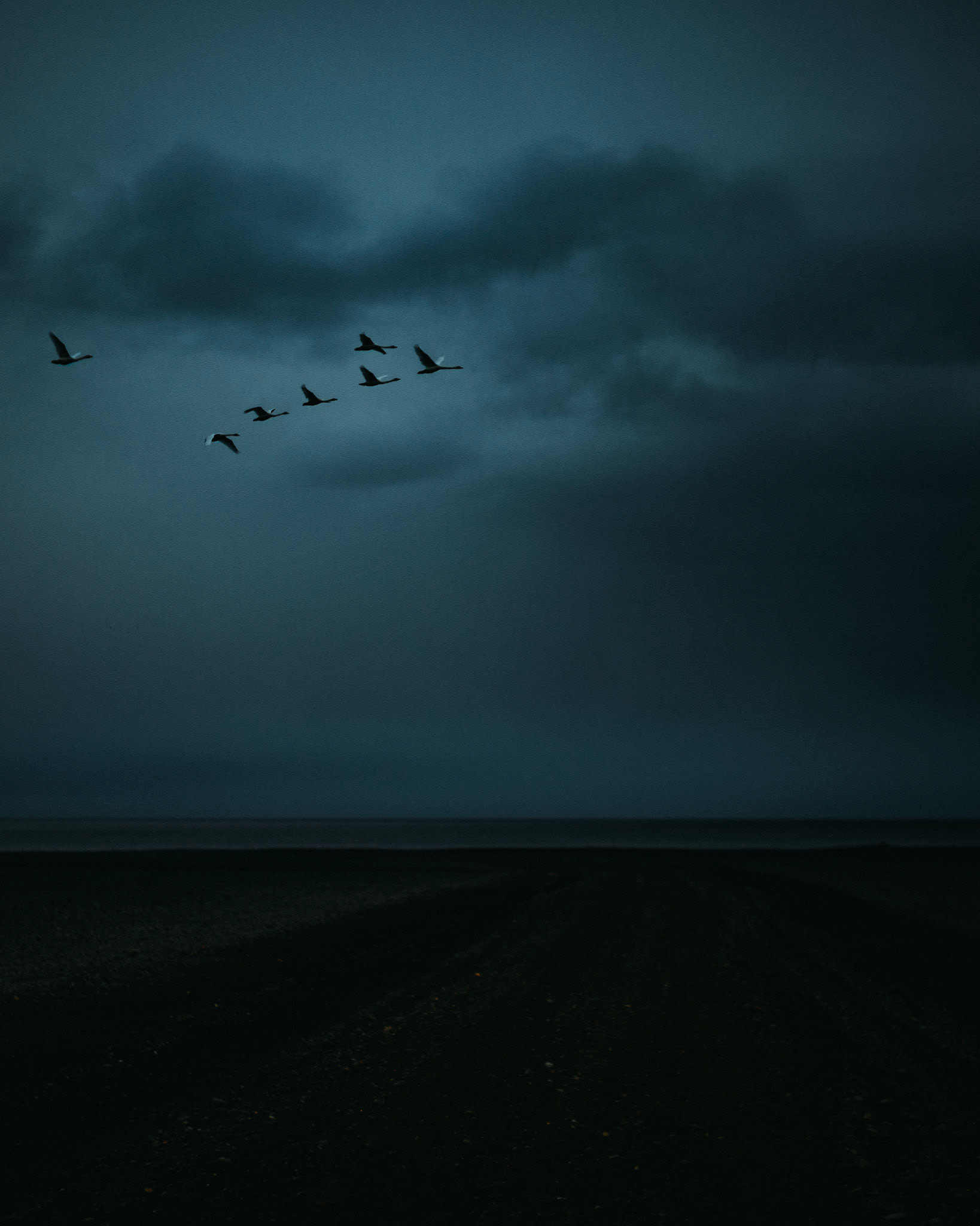 A flock of birds in a flying V formation. Solheimasandur, Iceland, May 2016, Sony A7RII.