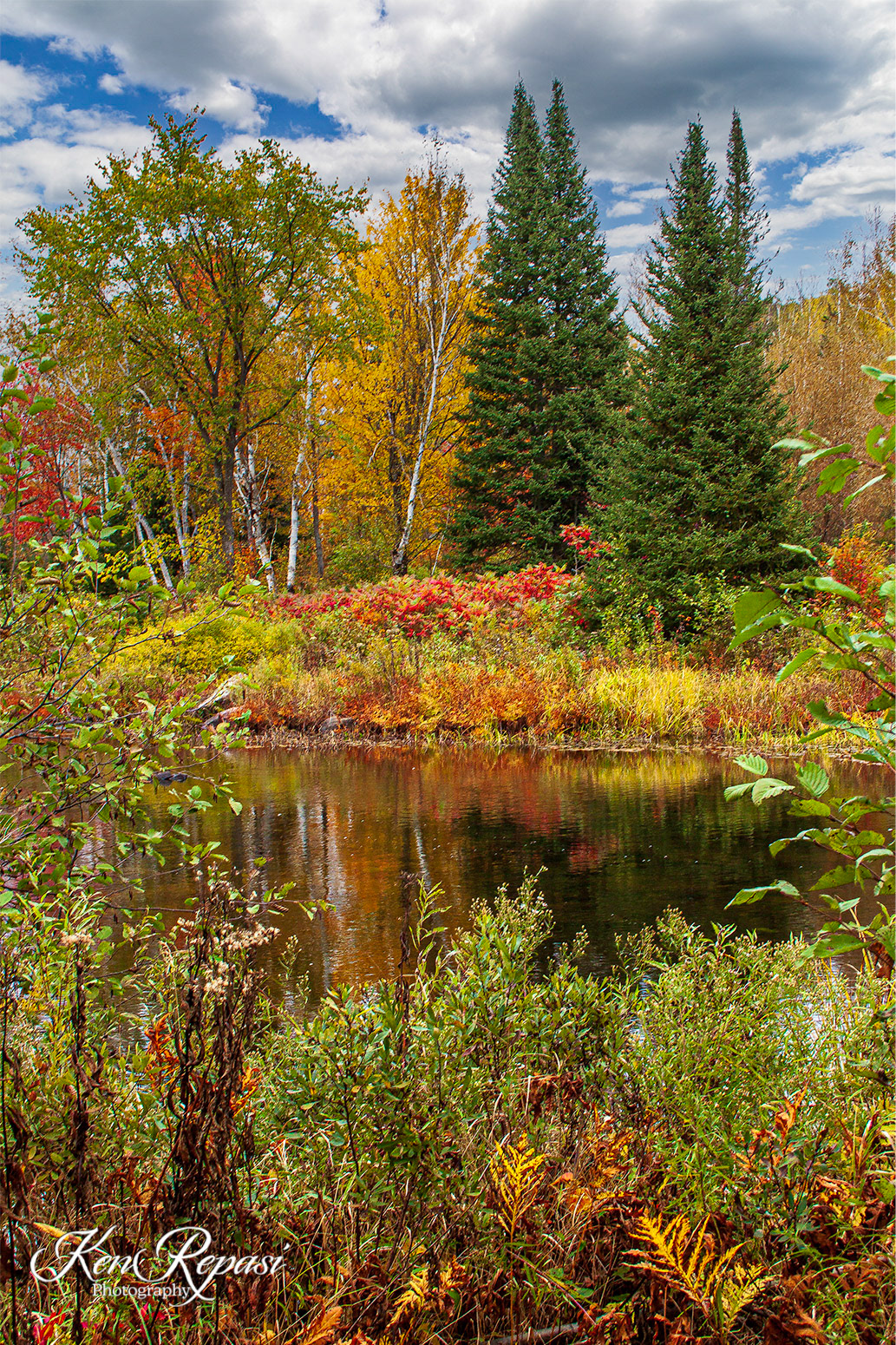 Fall with Evergreens