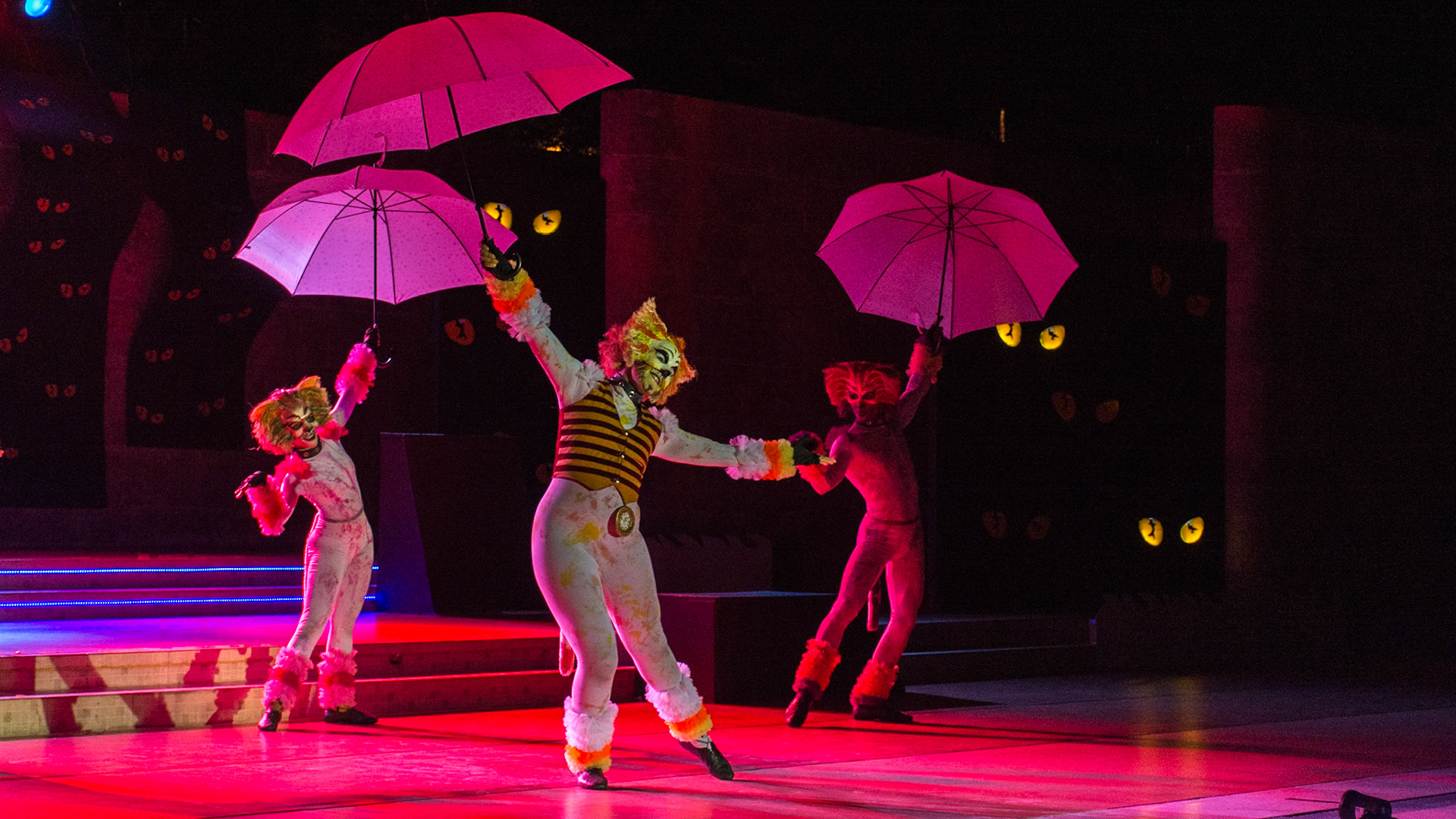 Anfiteatro Centro Historico Theater Company-Cats at Habna Vieja