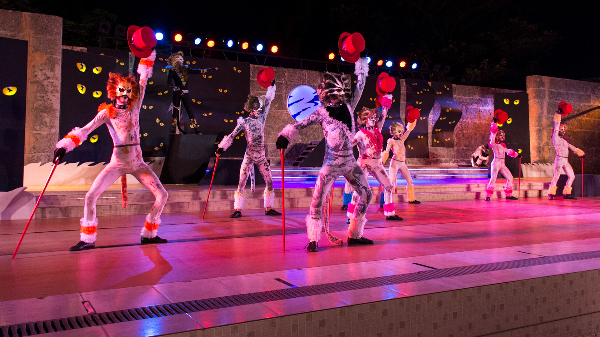 Centro Historico Theater Company-Cats at Habna Vieja