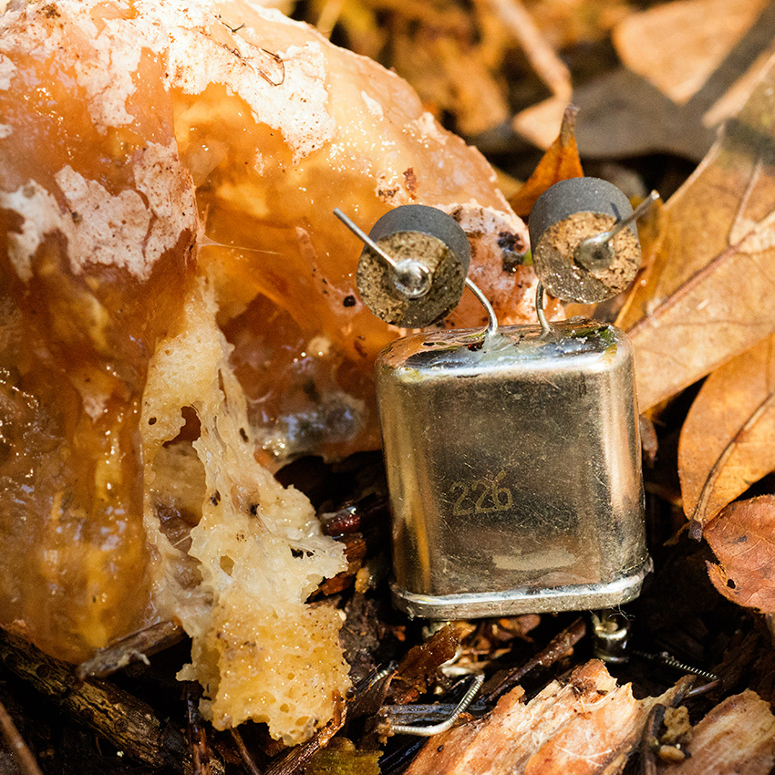 electronic crystal posing with mushroom