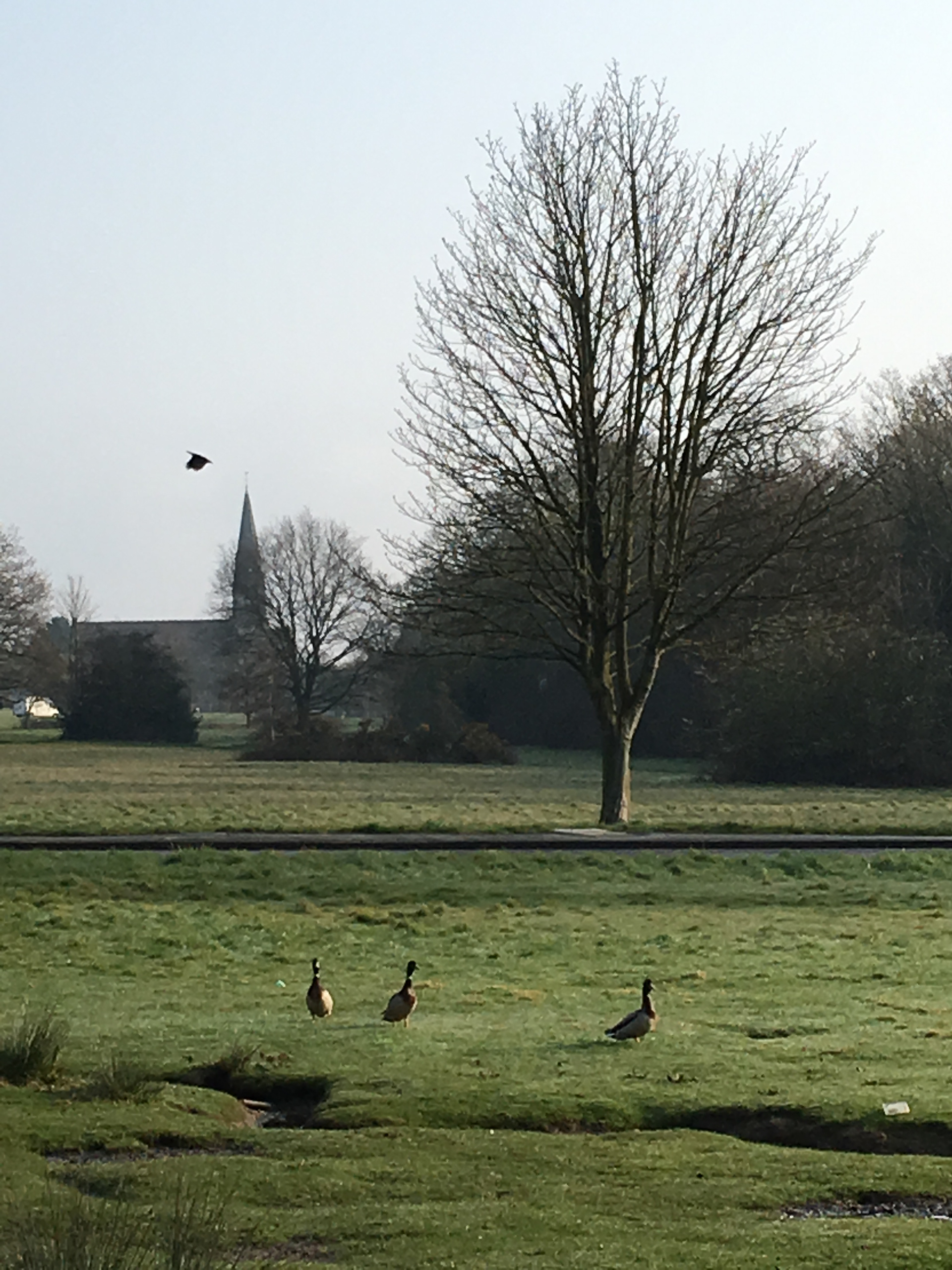 Woodford Green, Essex