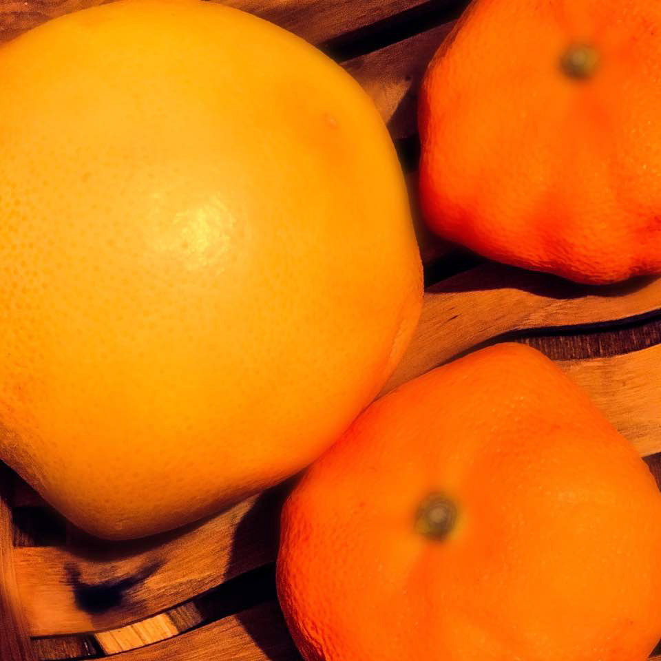 Matisse Oranges