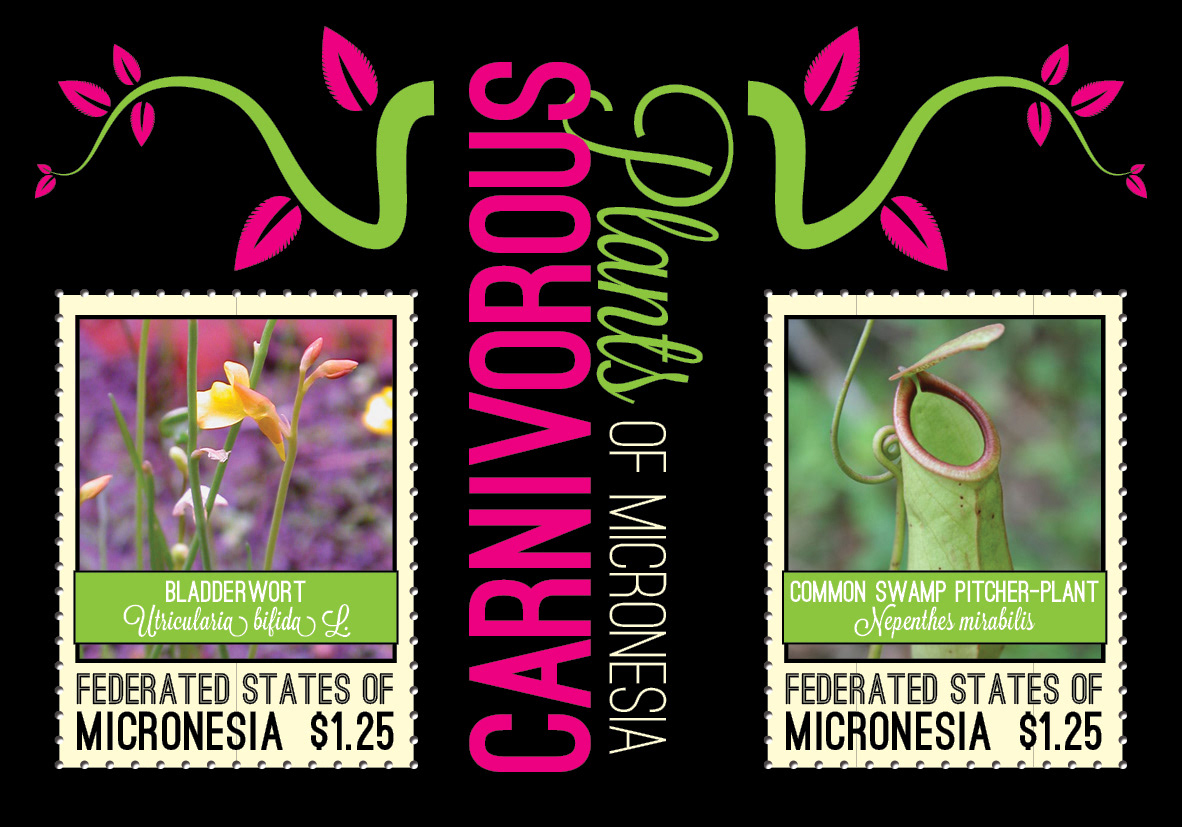 Carnivorous Plants for Micronesia