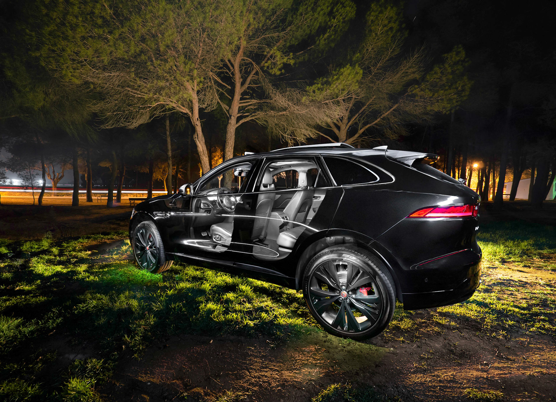 Jaguar Light-painting (by Gabriel Glez - Noctografia-)