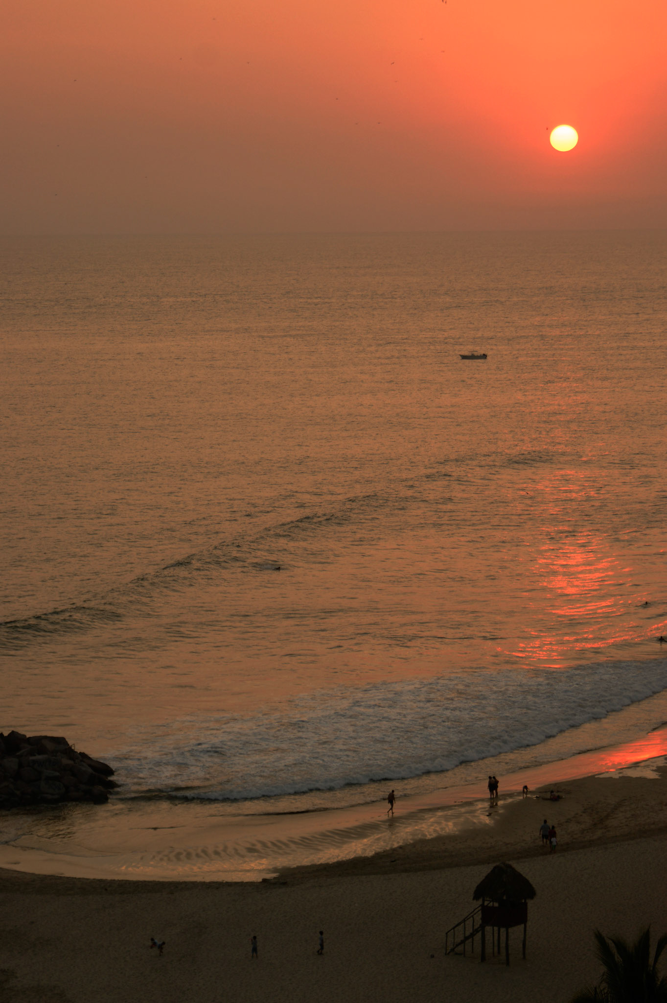 SONY DSC