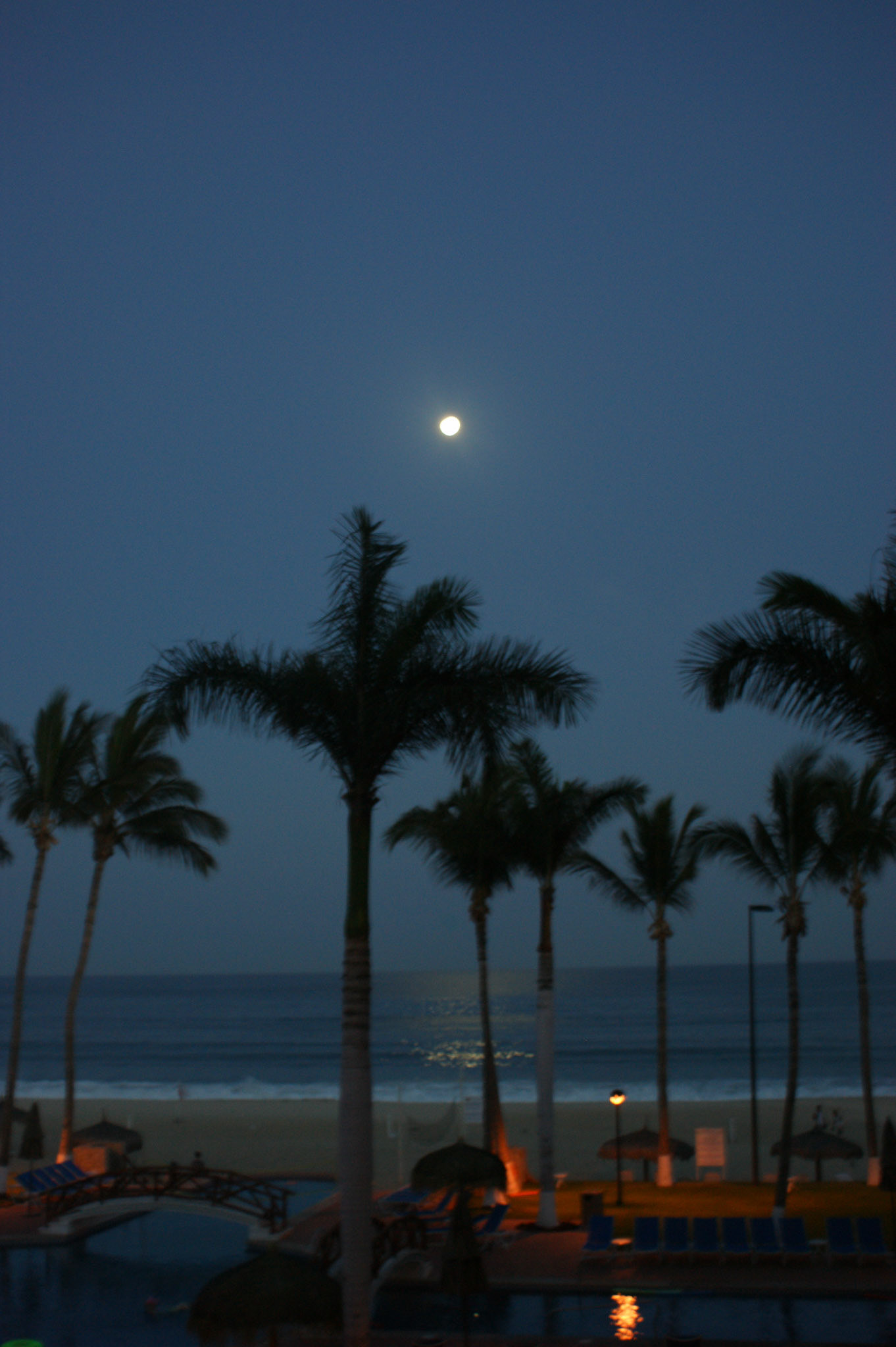 SONY DSC