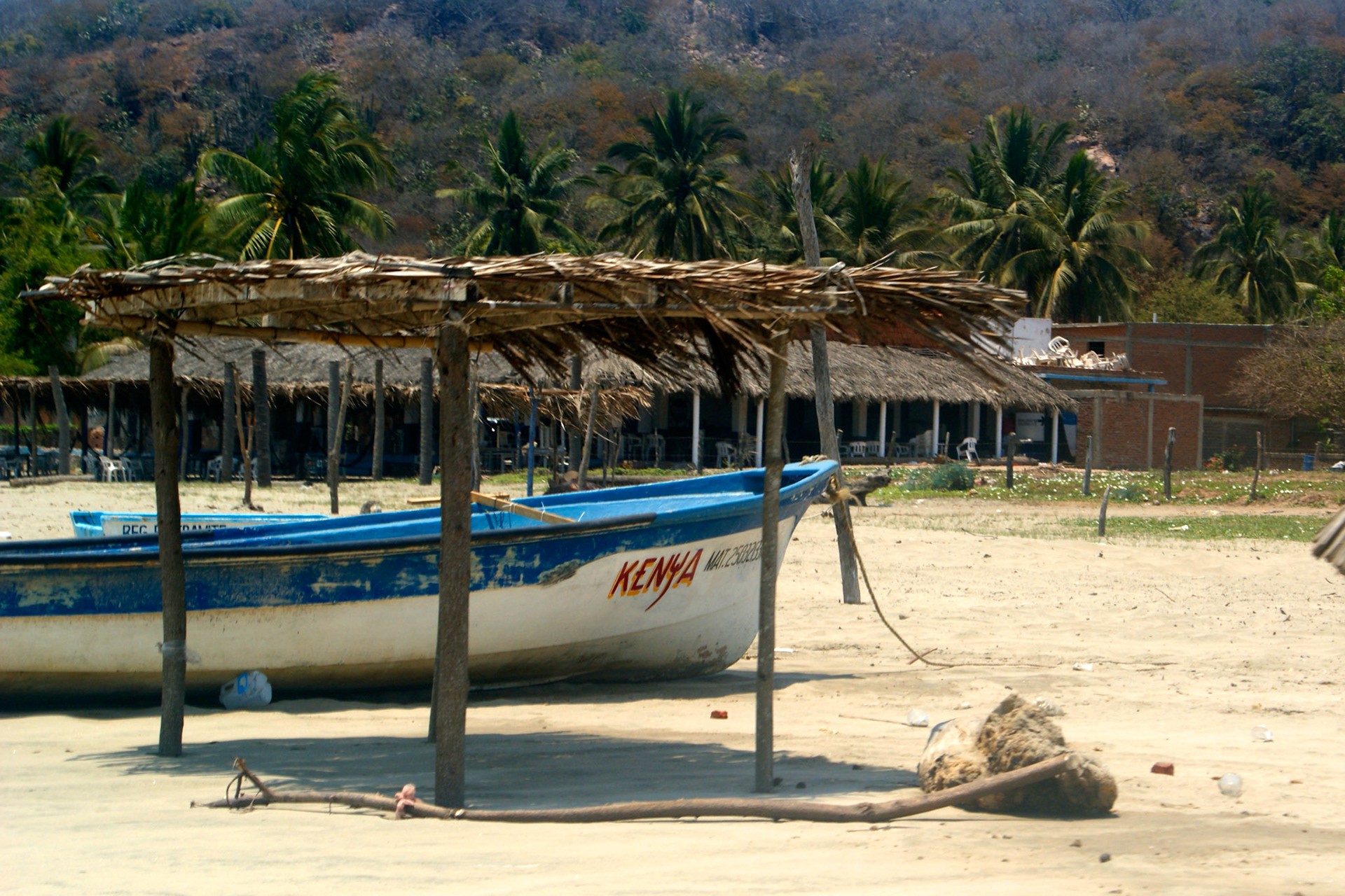 SONY DSC