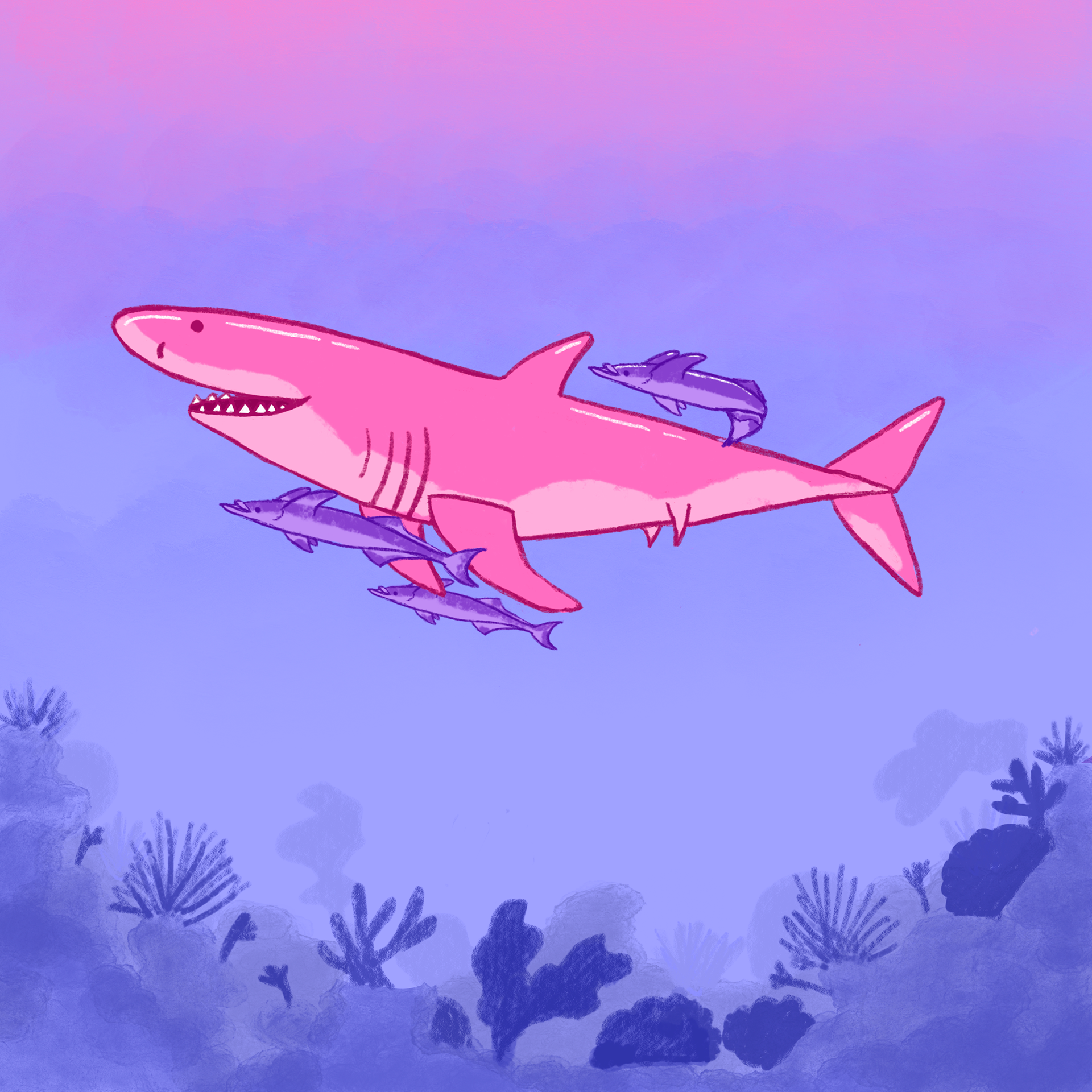 Bi Pride Shark