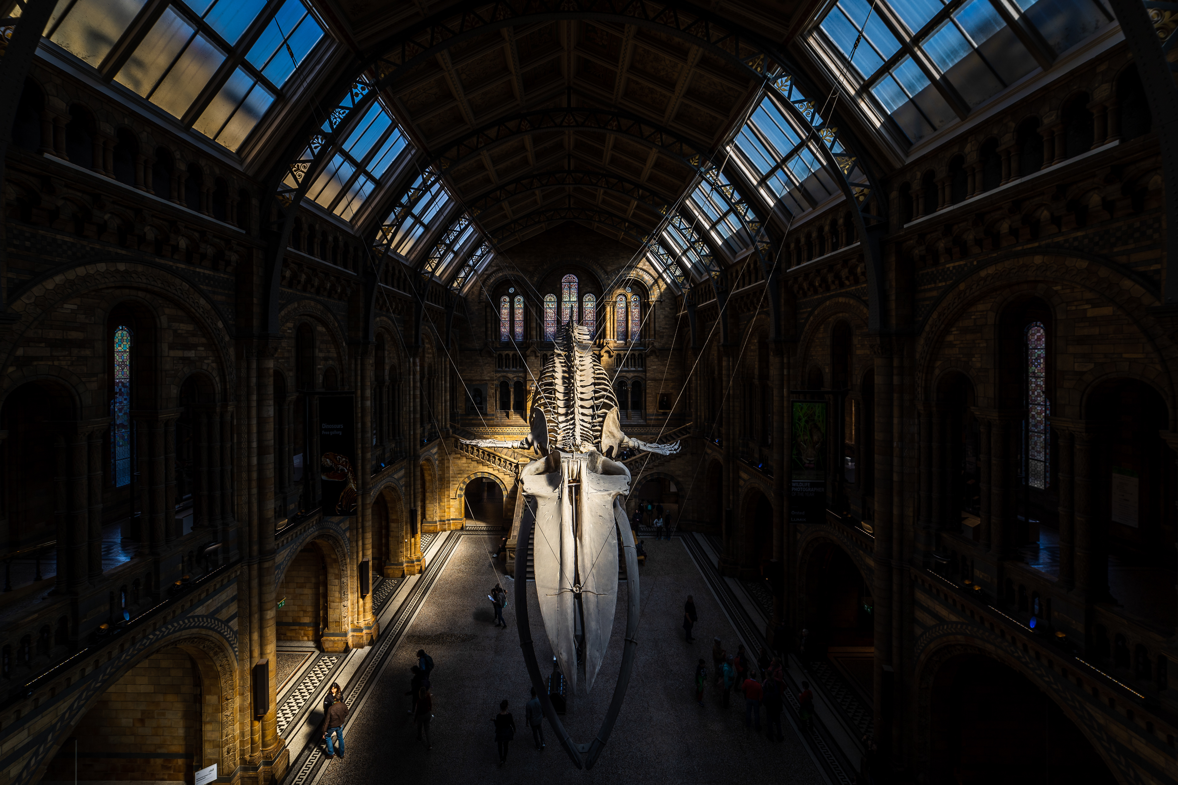 Natural History Museum, London UK
