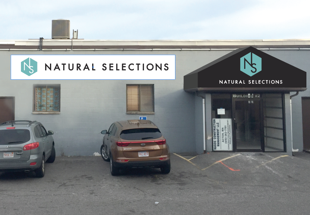 Natural Selections design option