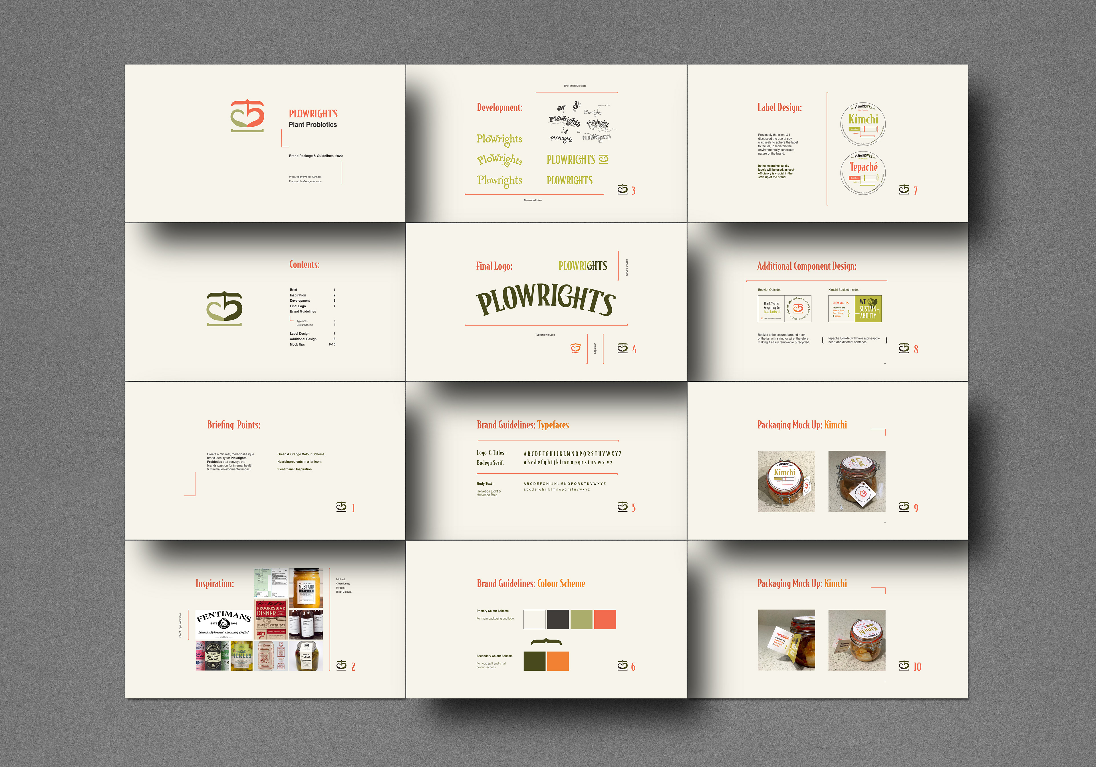 Initial client presentation prepared for Plowright's Probiotics.
