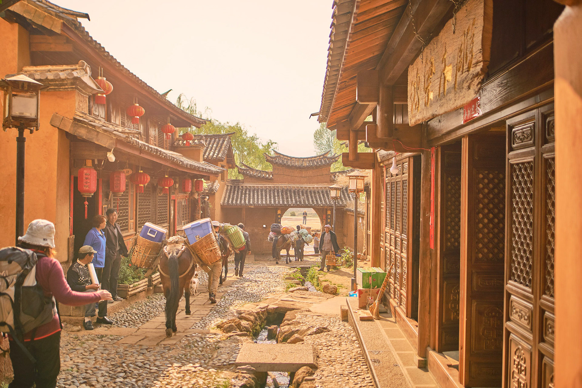 Traveling with mule caravana in Cangshan mountains