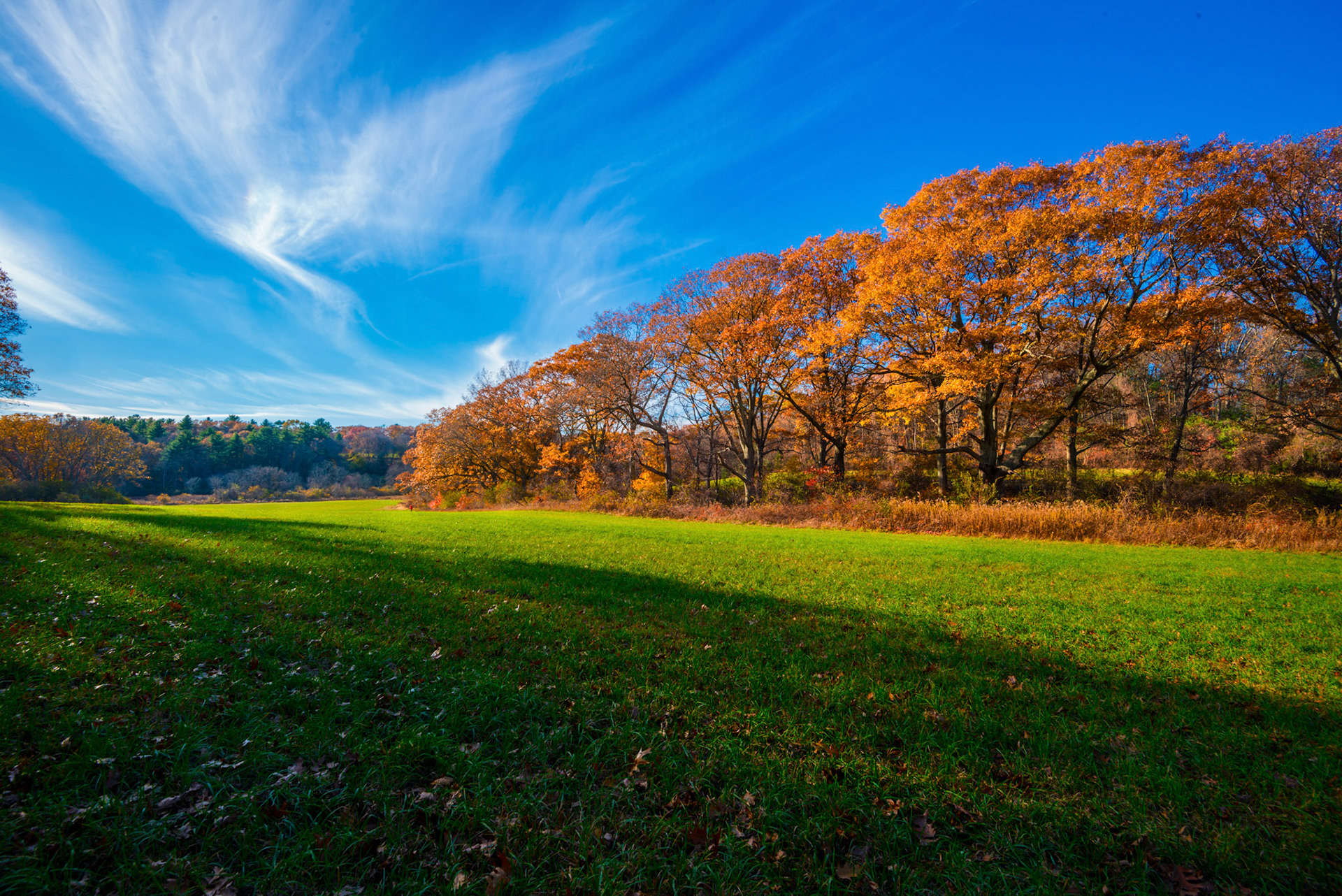 Mass State Parks DCR 101