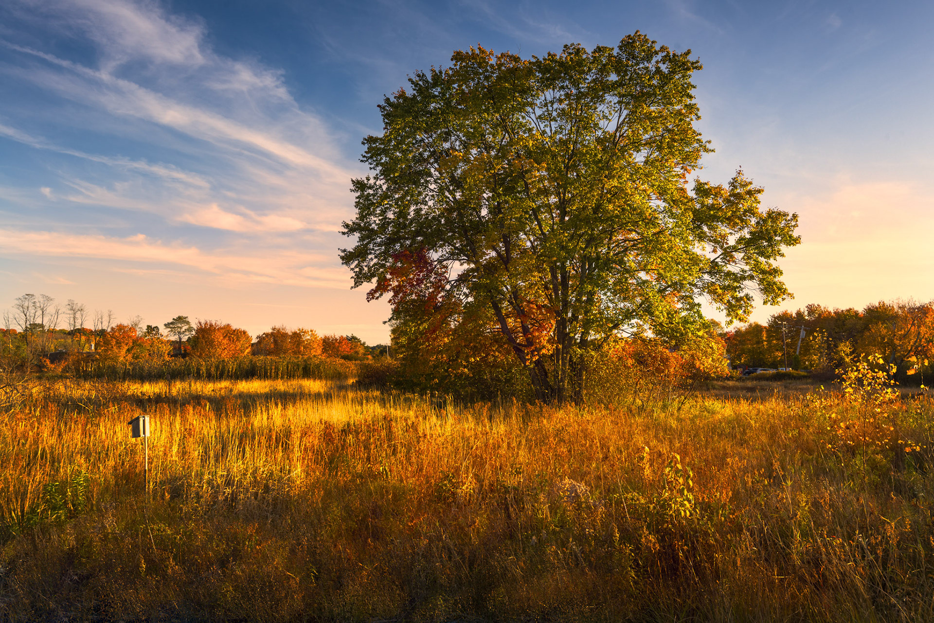 Mass State Parks DCR 107