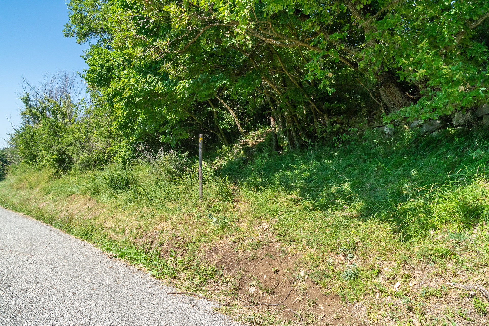Sentier vers l'église d'Auribeau