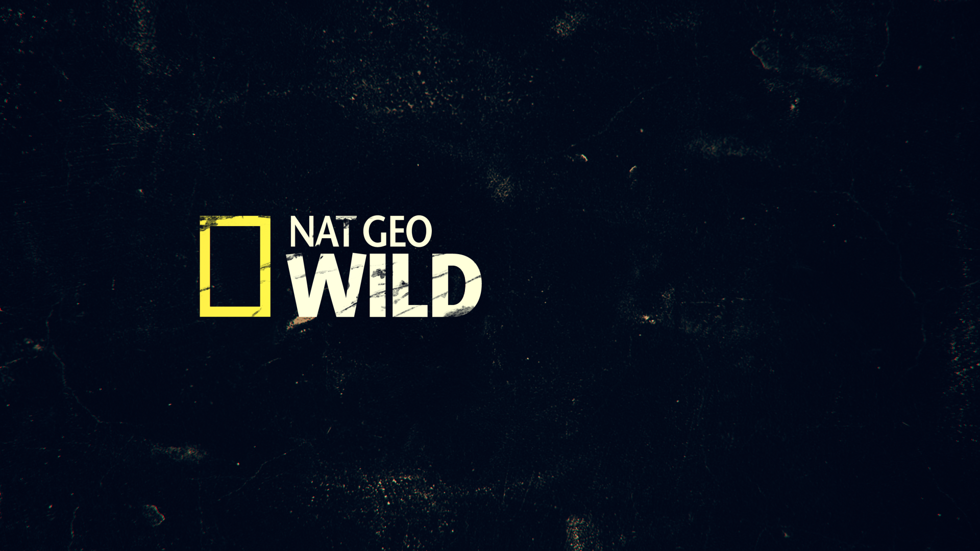 Philipp Bichsel Nat Geo Wild