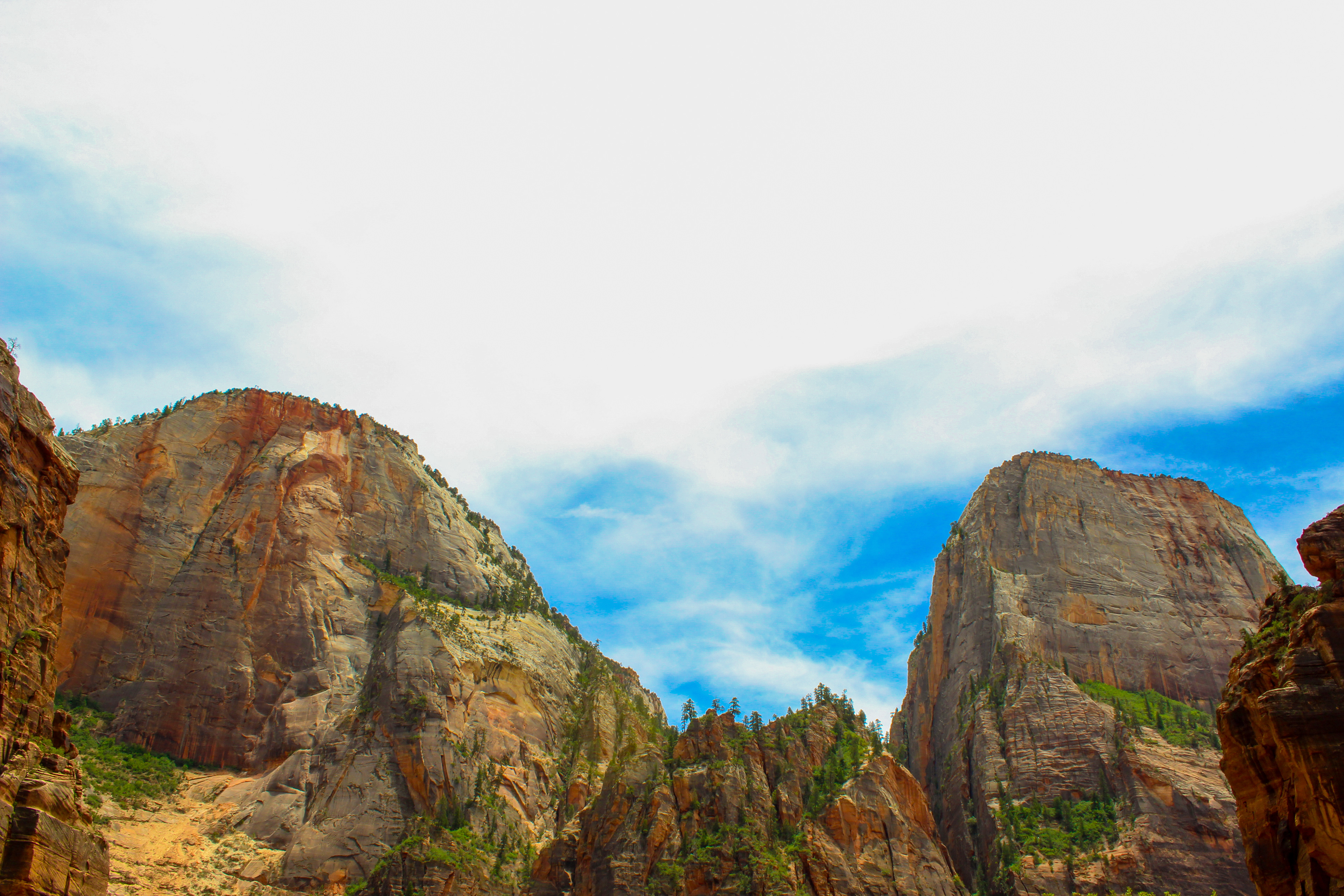 Cliffs tower through the valley of Zion NPS