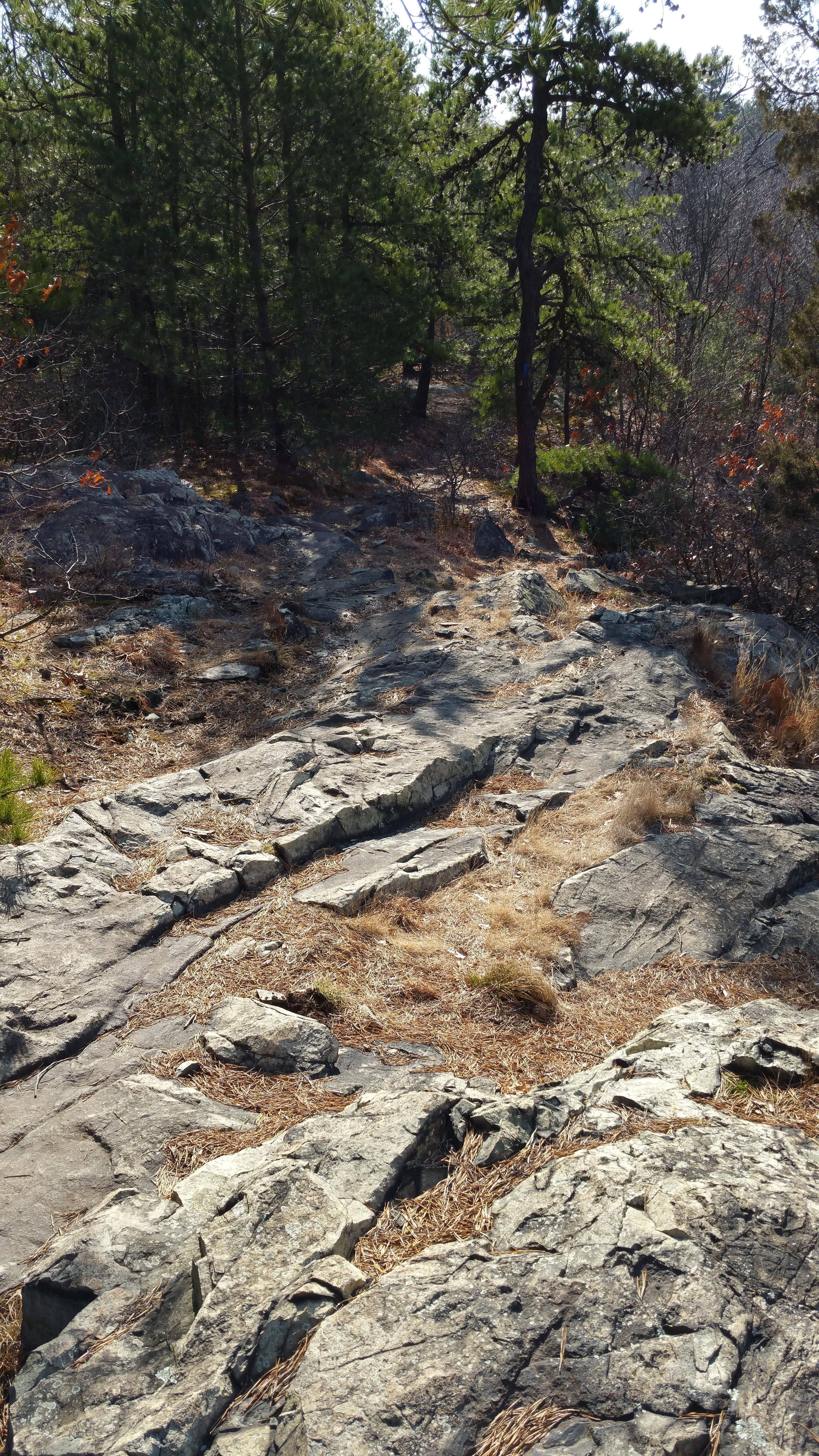 Location Scouting