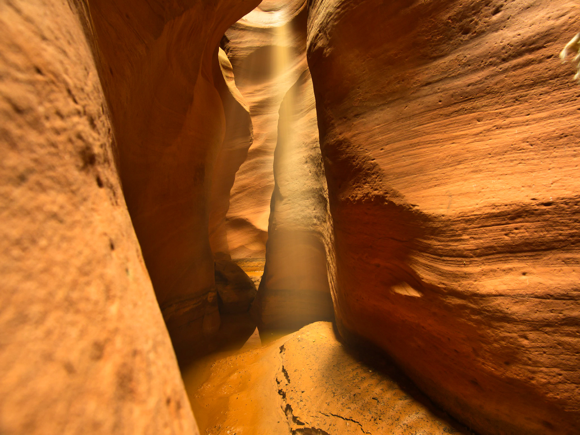 Icône de l'utah