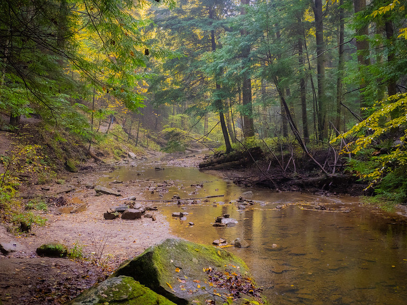 Hocking Hills State Park, Logan OH-Olympus OM-D EM-1