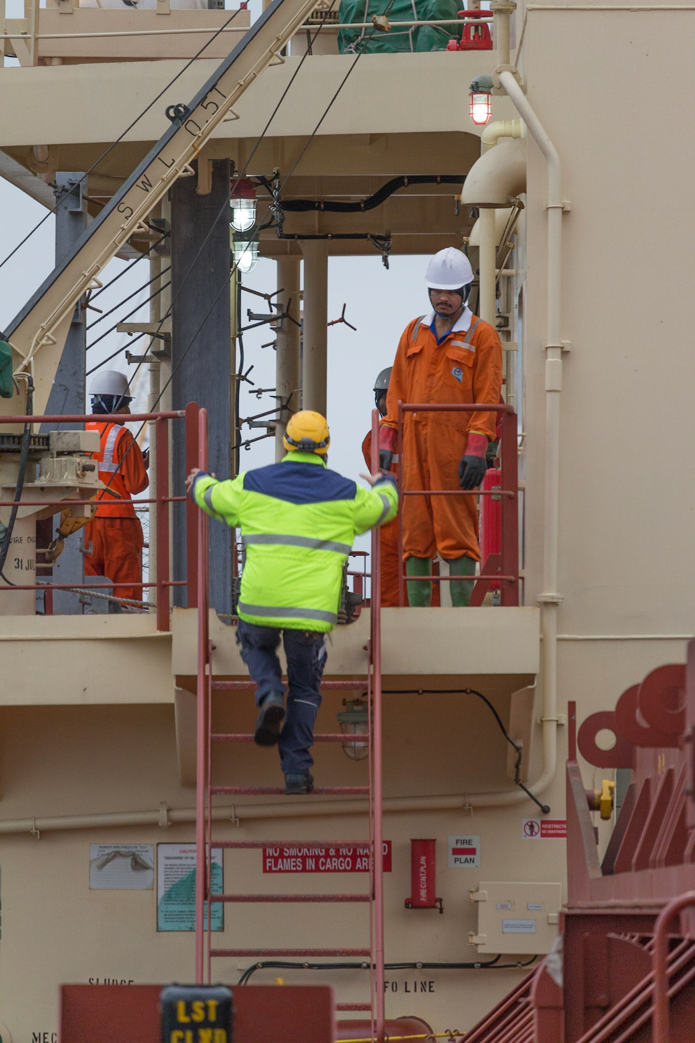 Fednav Federal Bering