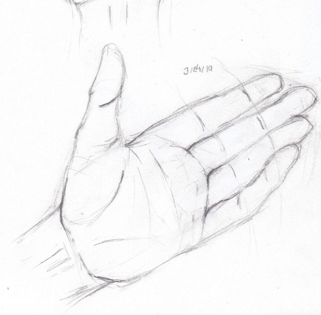 Hands - Human Anatomy Drawing