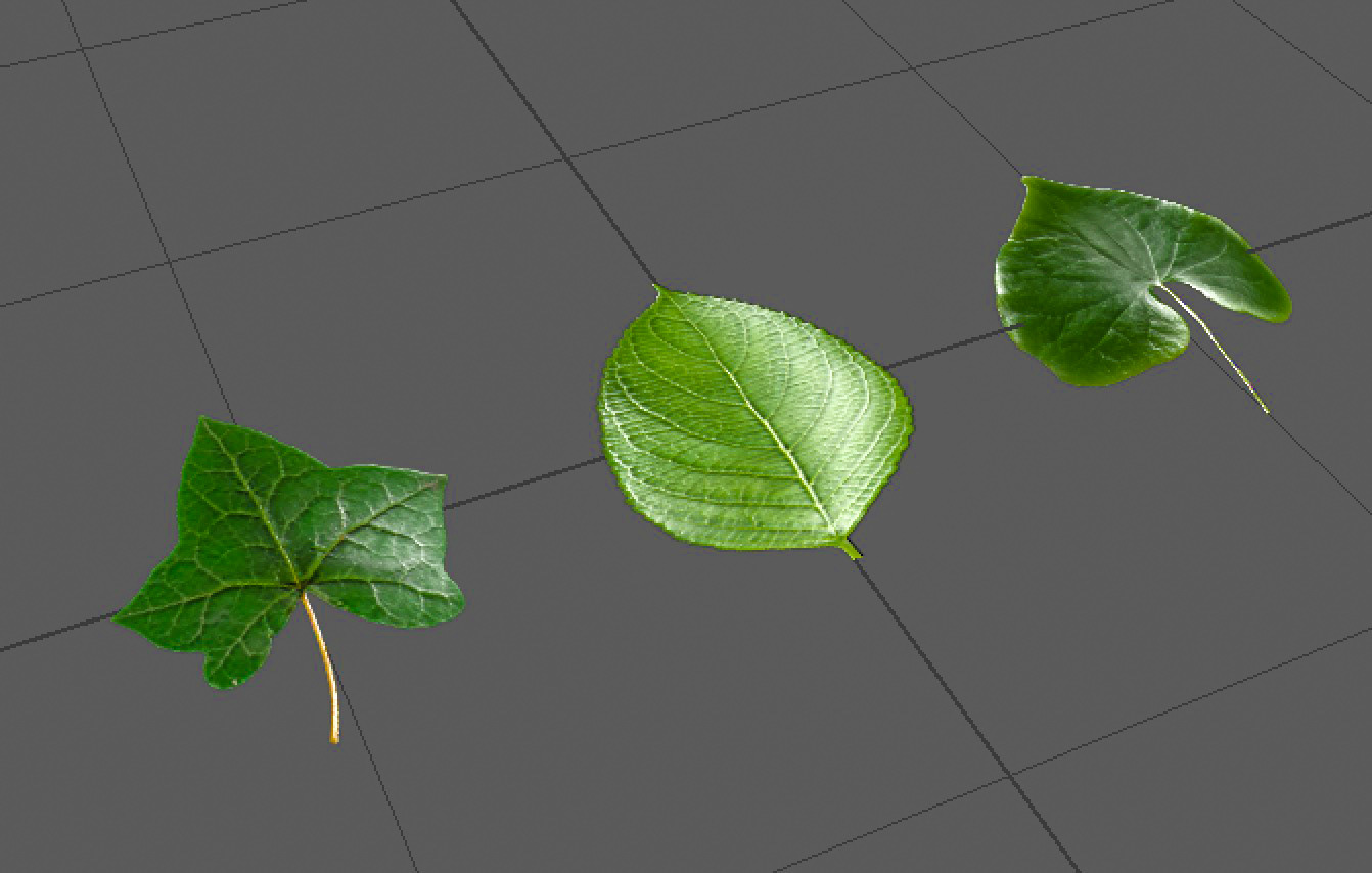 The leaves we used for placement along the curves