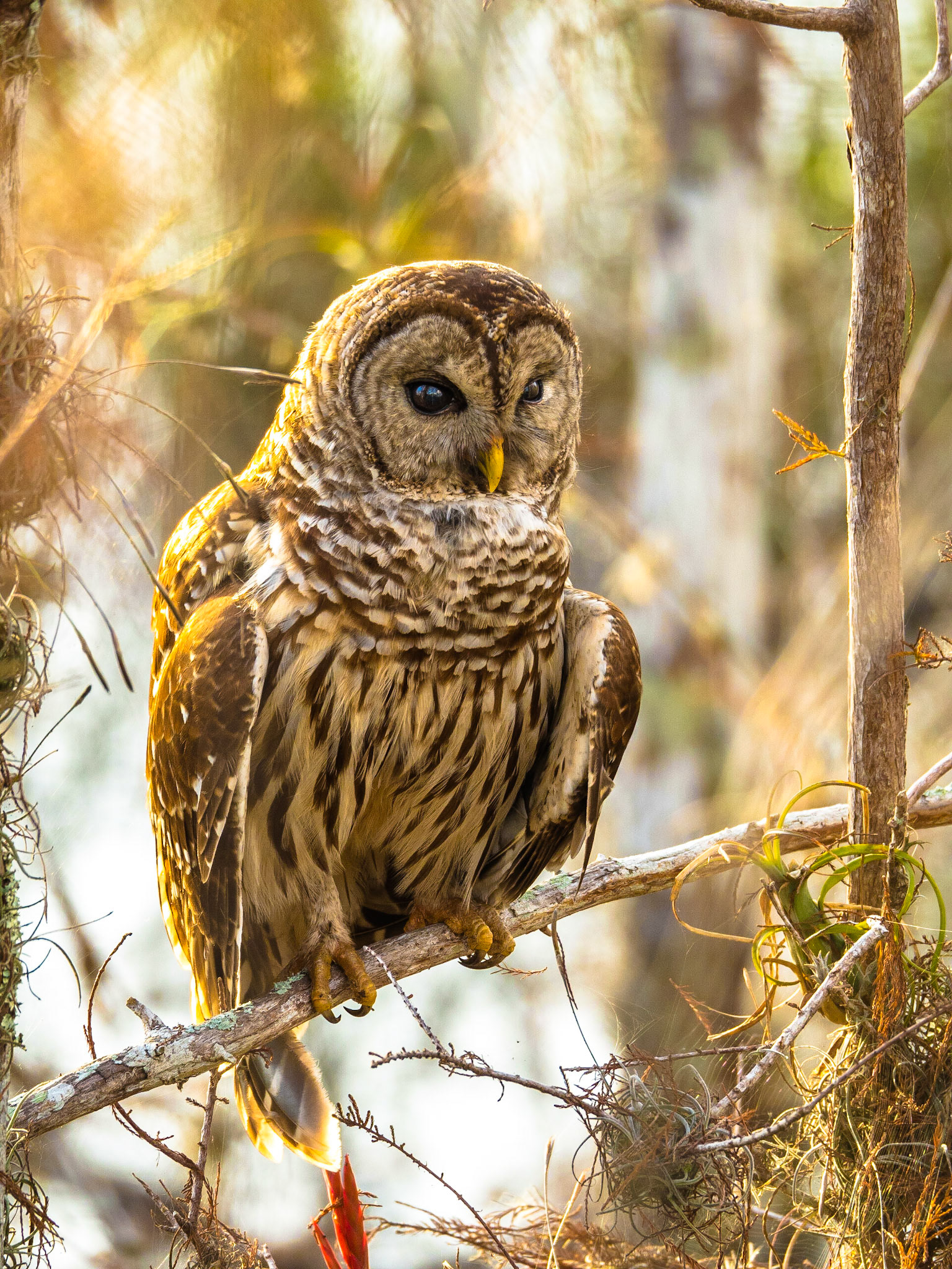 Everglades National Park
