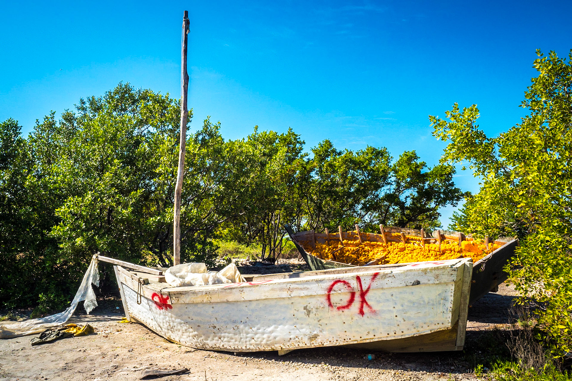 Biscayne National Park