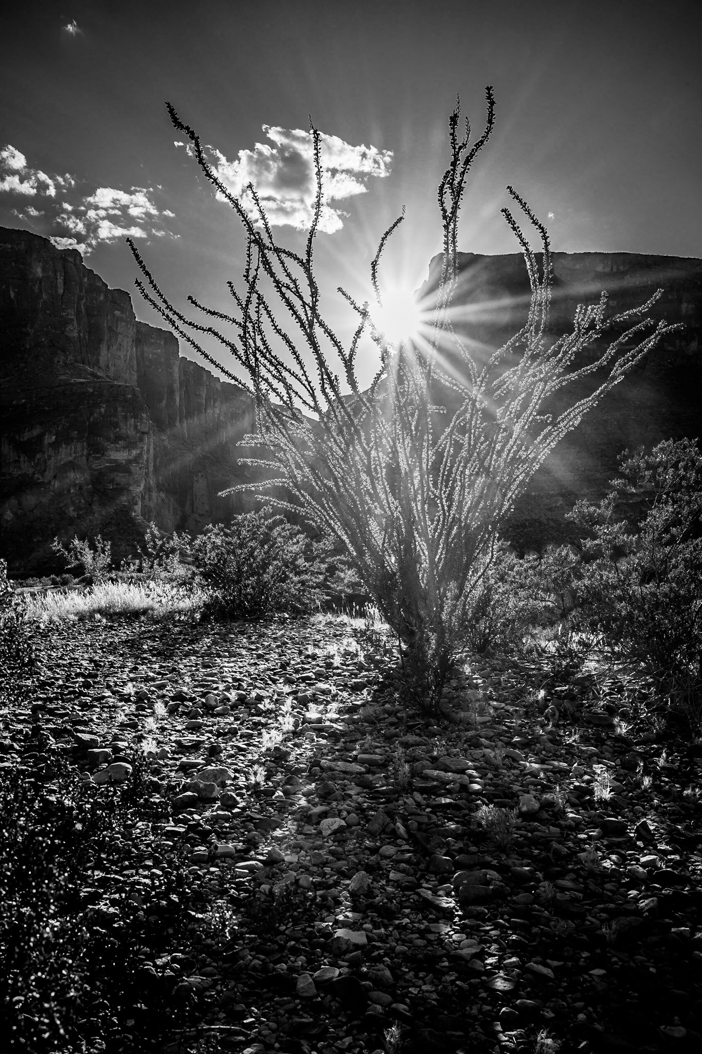 Big Bend National Park