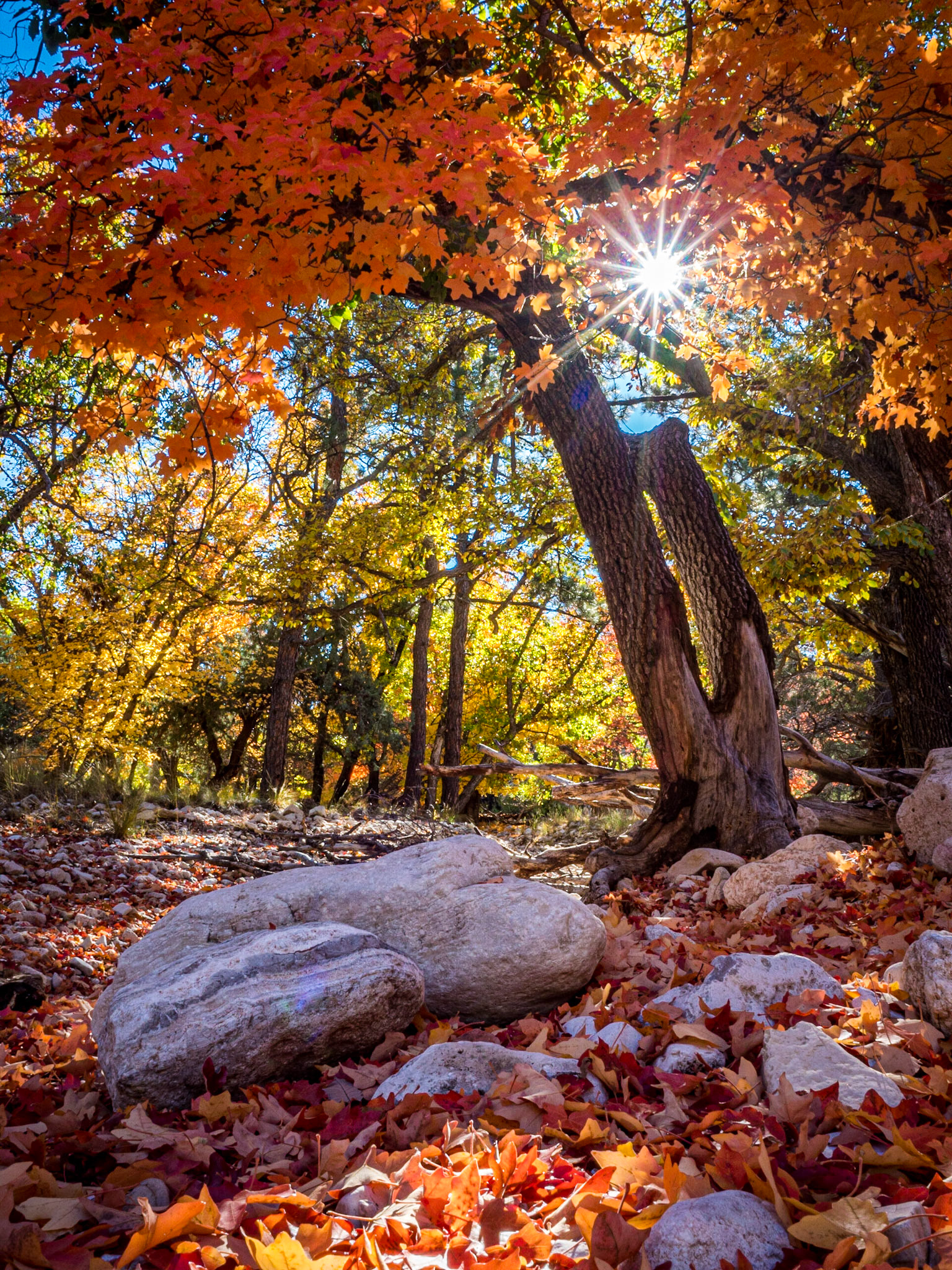 Guadalupe Mountains National Park