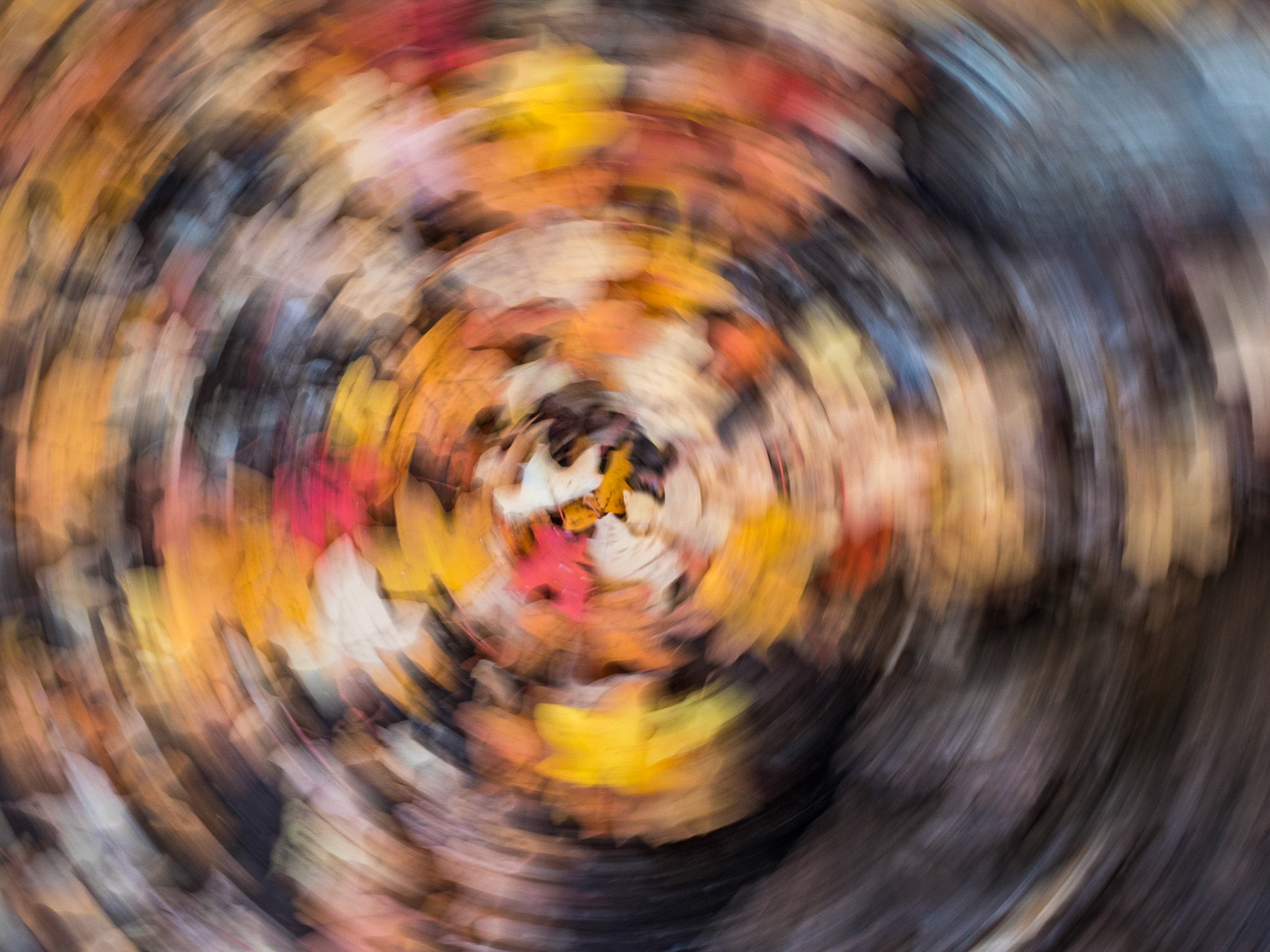 Guadalupe Mountains National Park
