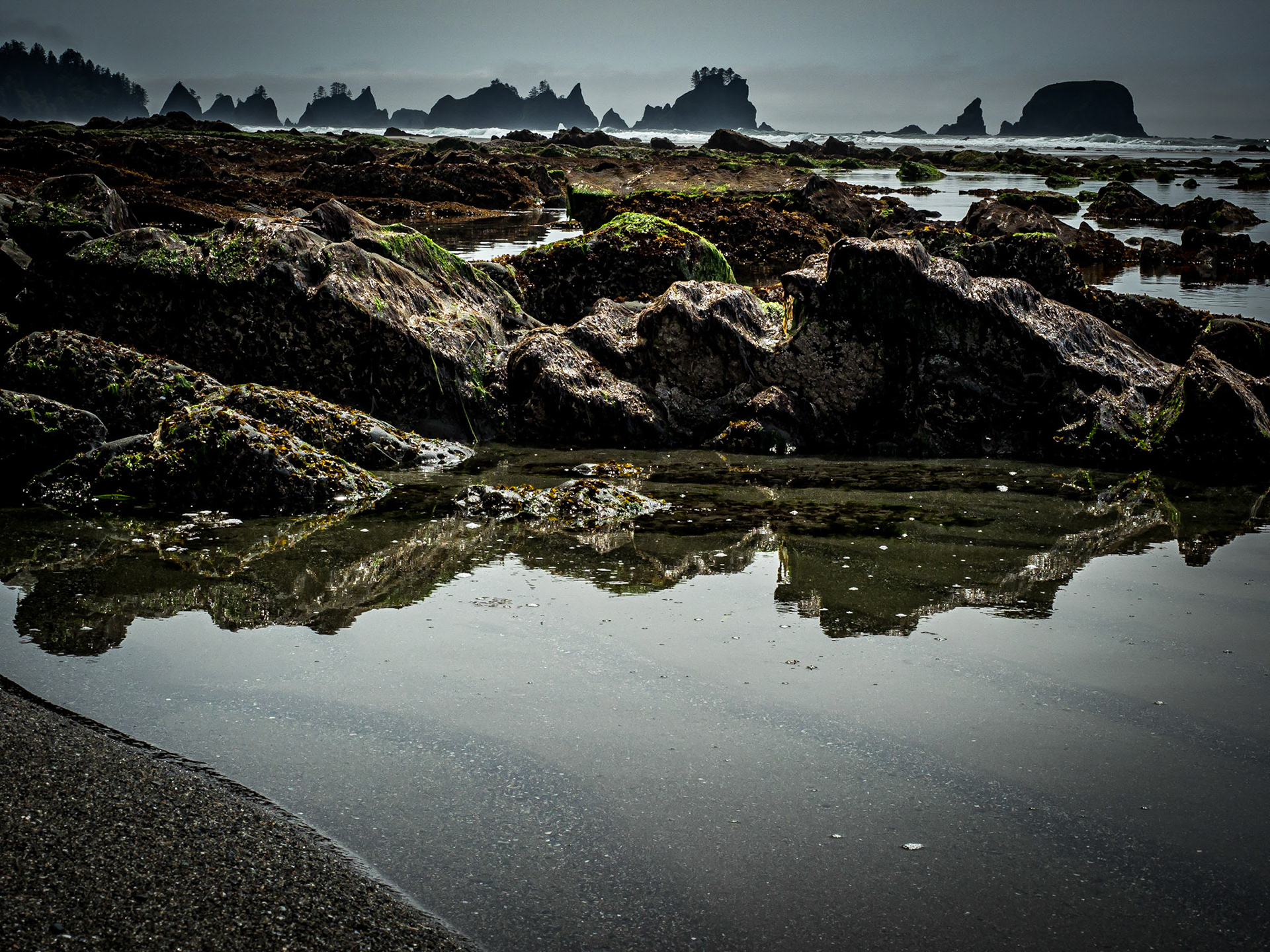 Olympic National Park