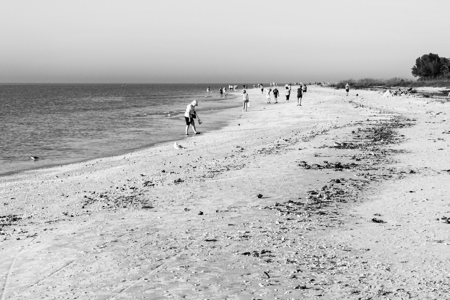 Sanibel